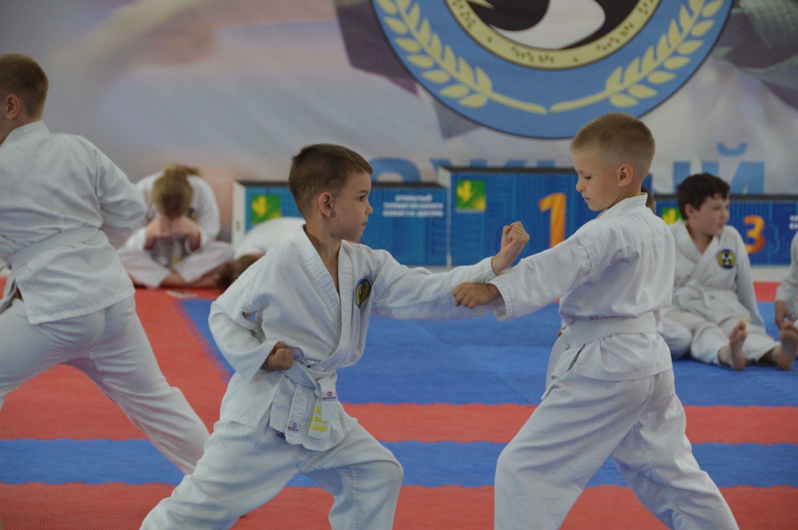 каратэ WKF, шатура, каратэ,