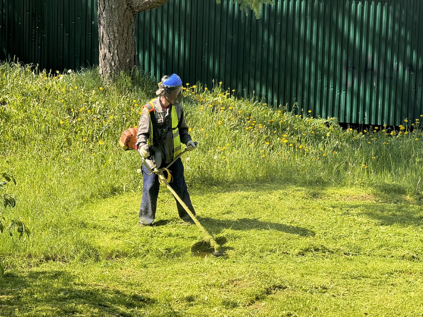 шаховская, покос травы, коммунальная служба,