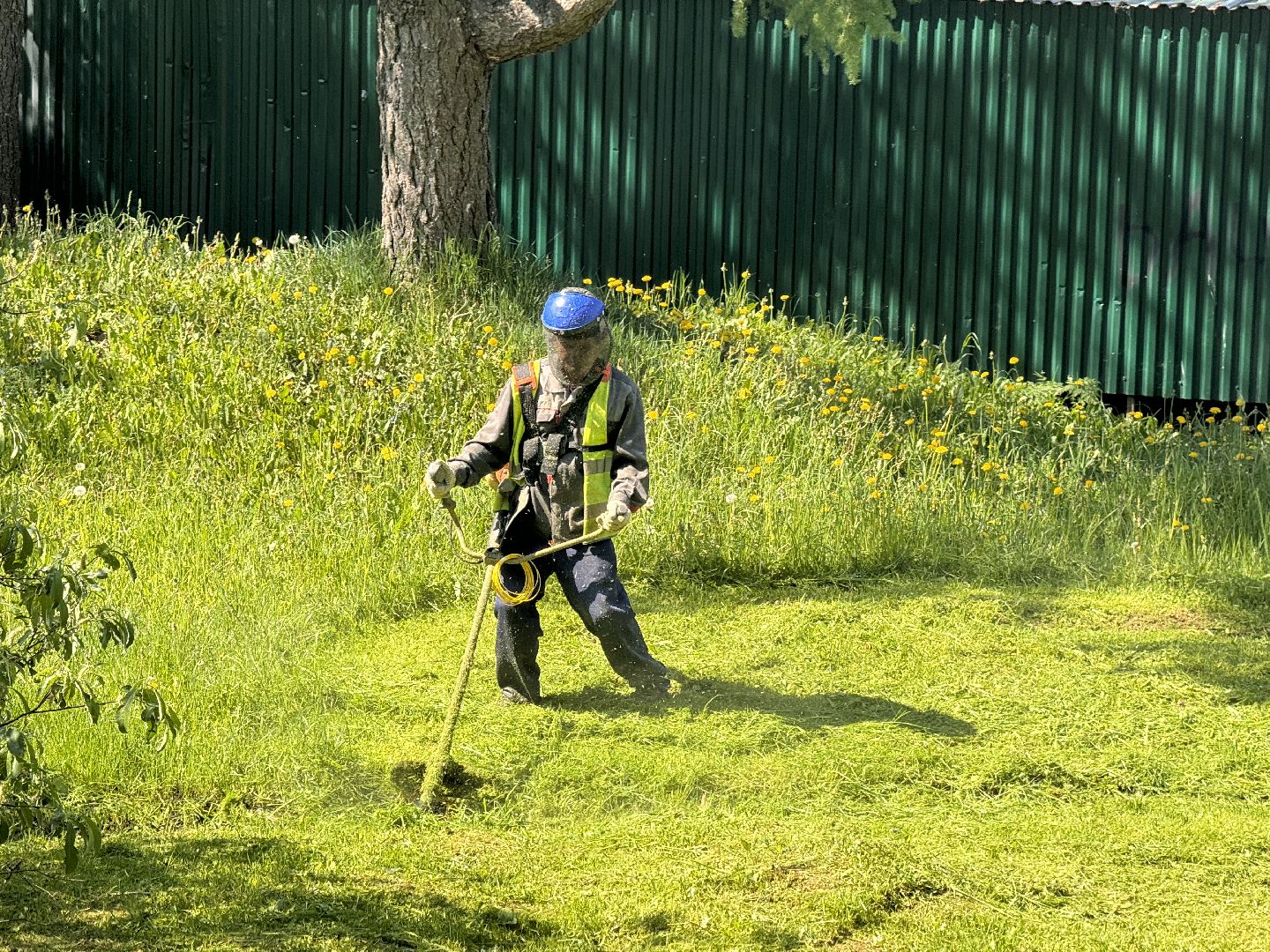 шаховская, покос травы, коммунальная служба,