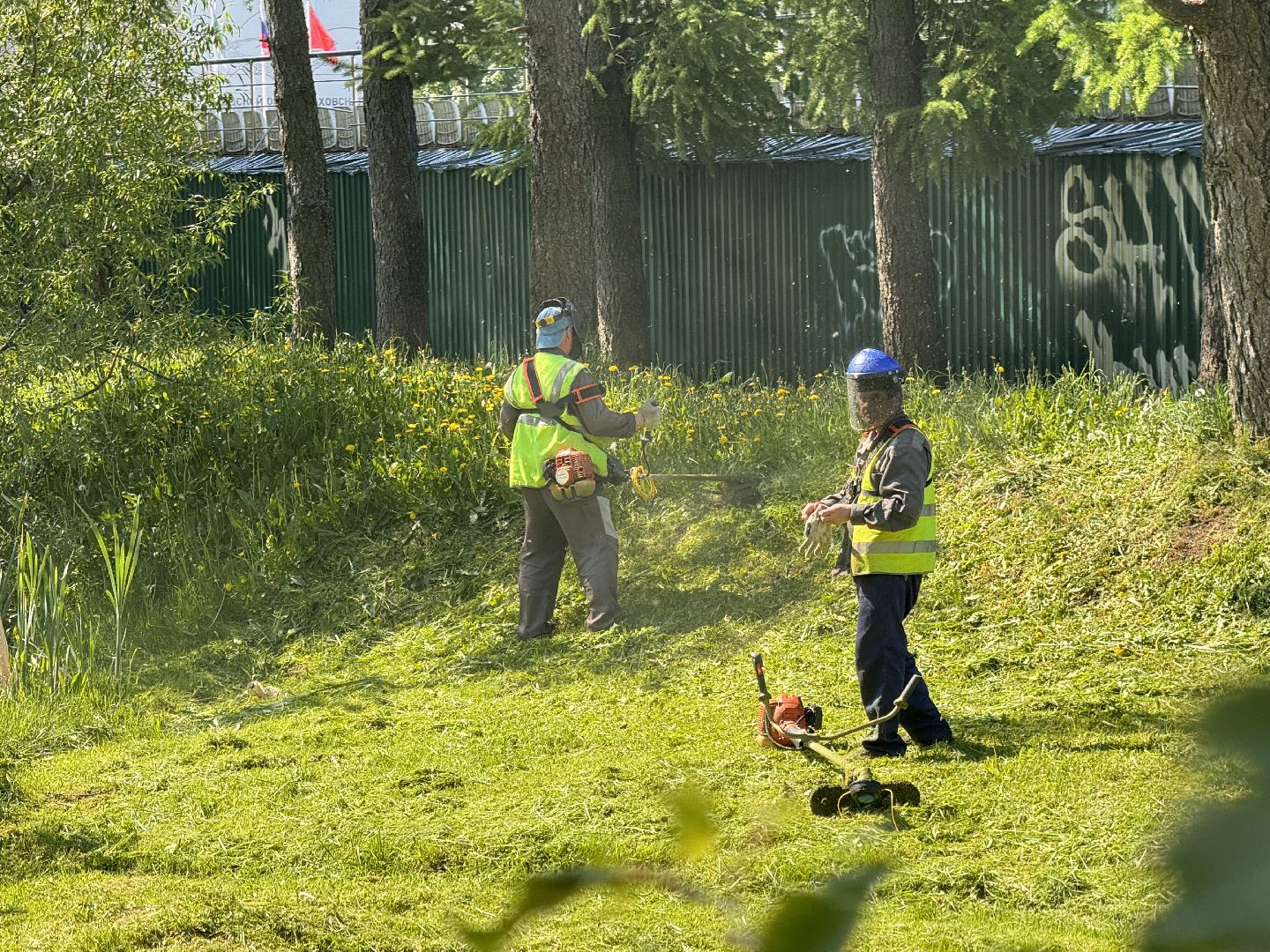 шаховская, покос травы, коммунальная служба,