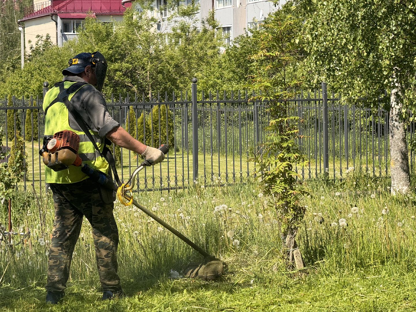 шаховская, покос травы, коммунальная служба,