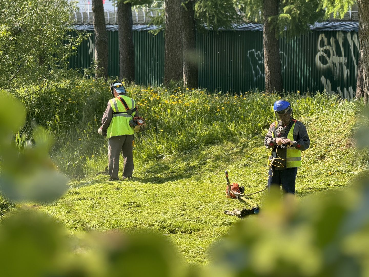 шаховская, покос травы, коммунальная служба,