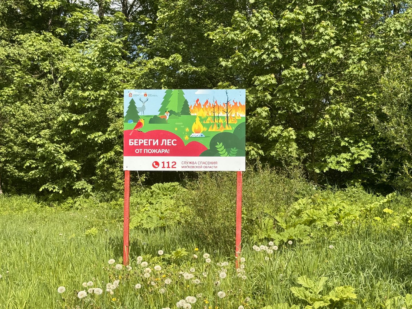 шаховская, лесничие, рейд по пожарной безопасности, пожарная безопасность,