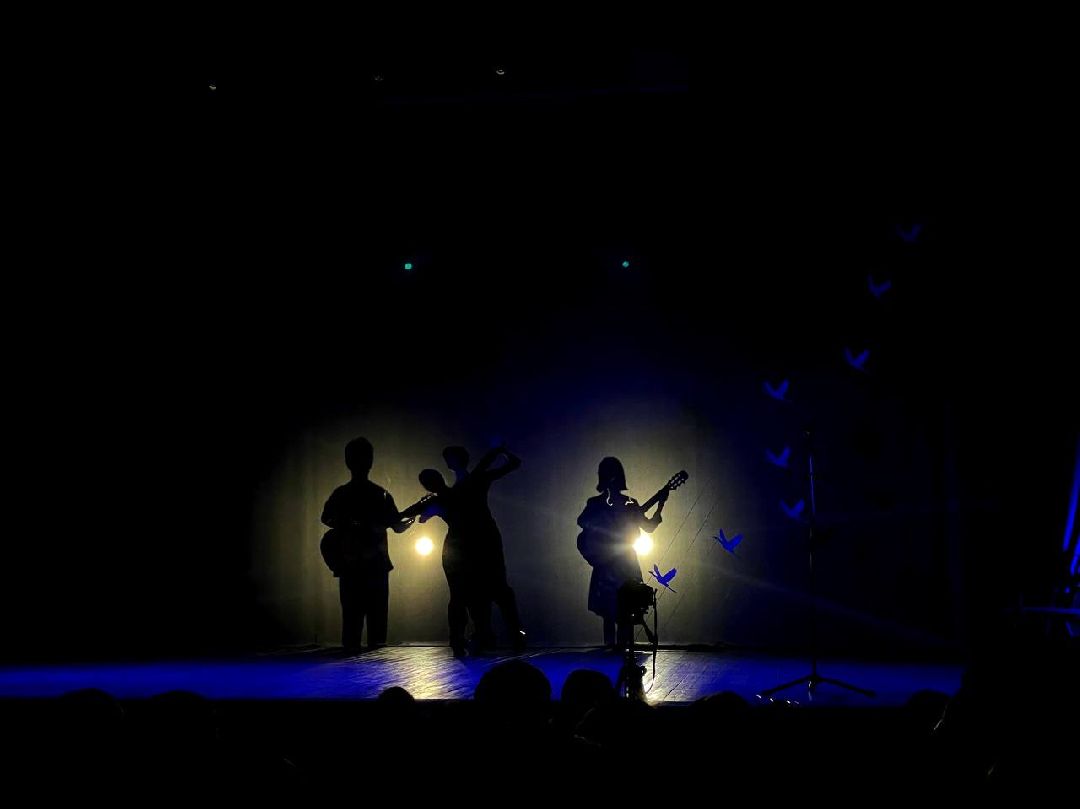 Сергиев Посад, Сергиево-Посадский городской округ, Бардовская песня, Барды, Авторская песня, Культура, Журавлиная родина