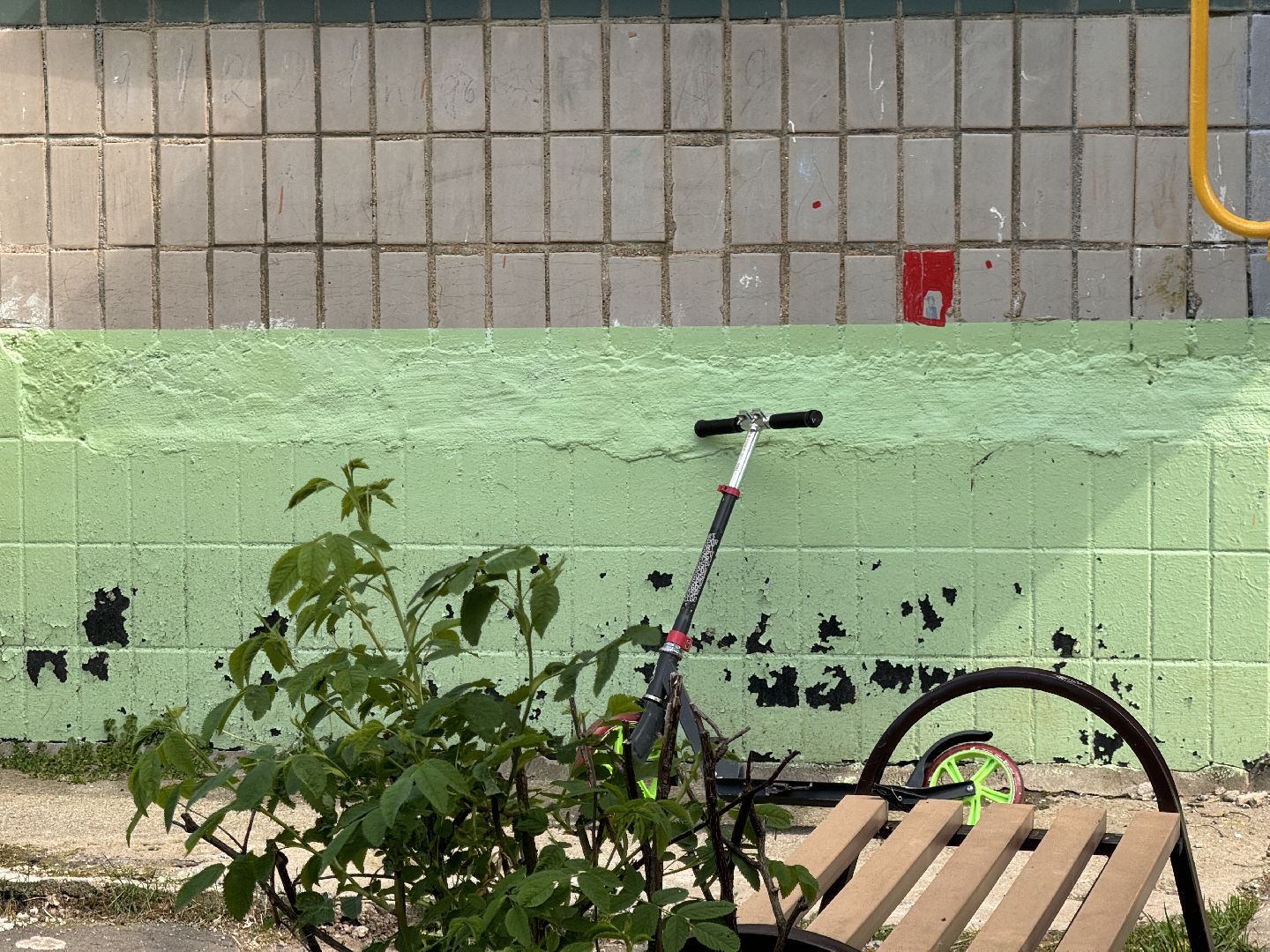 шаховская, выездная администрация, собрание,