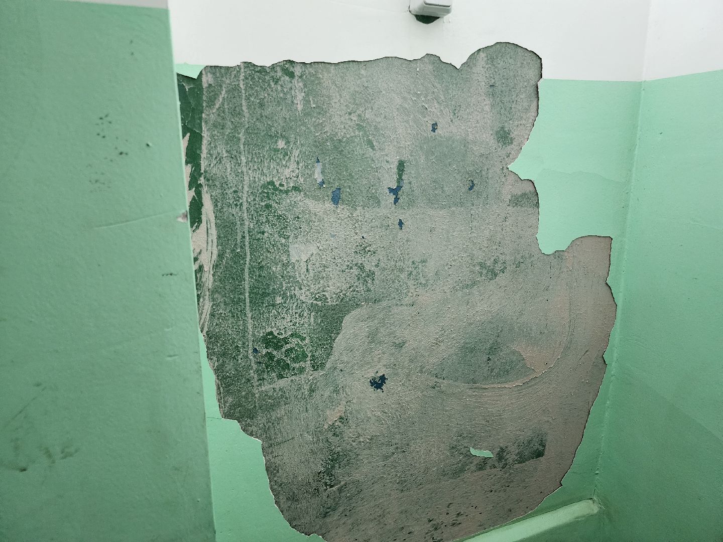 выездная администрация, орехово-зуевский округ,