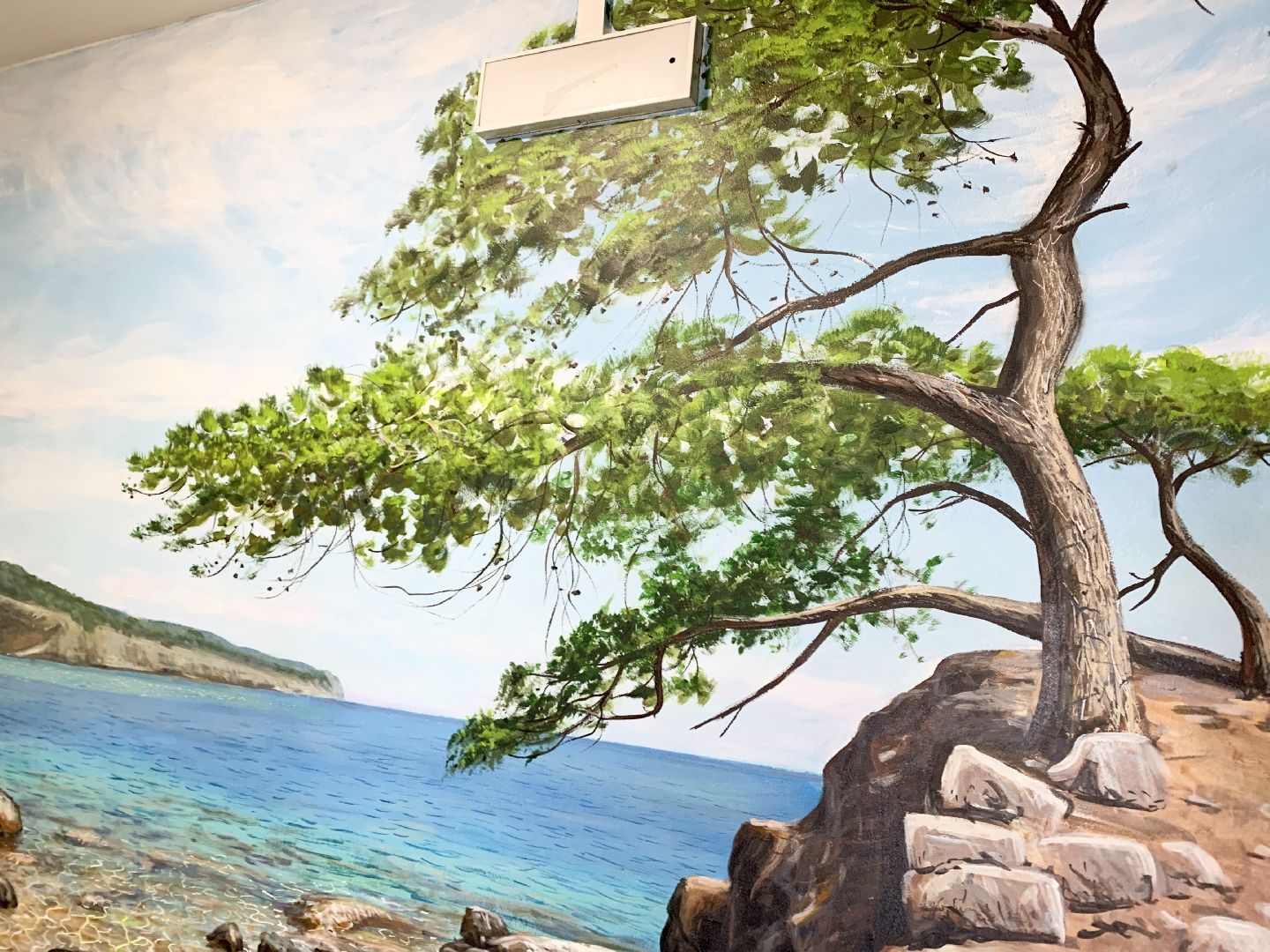 Балашиха, Подмосковье, ремонт подъездов, панно с пейзажами,