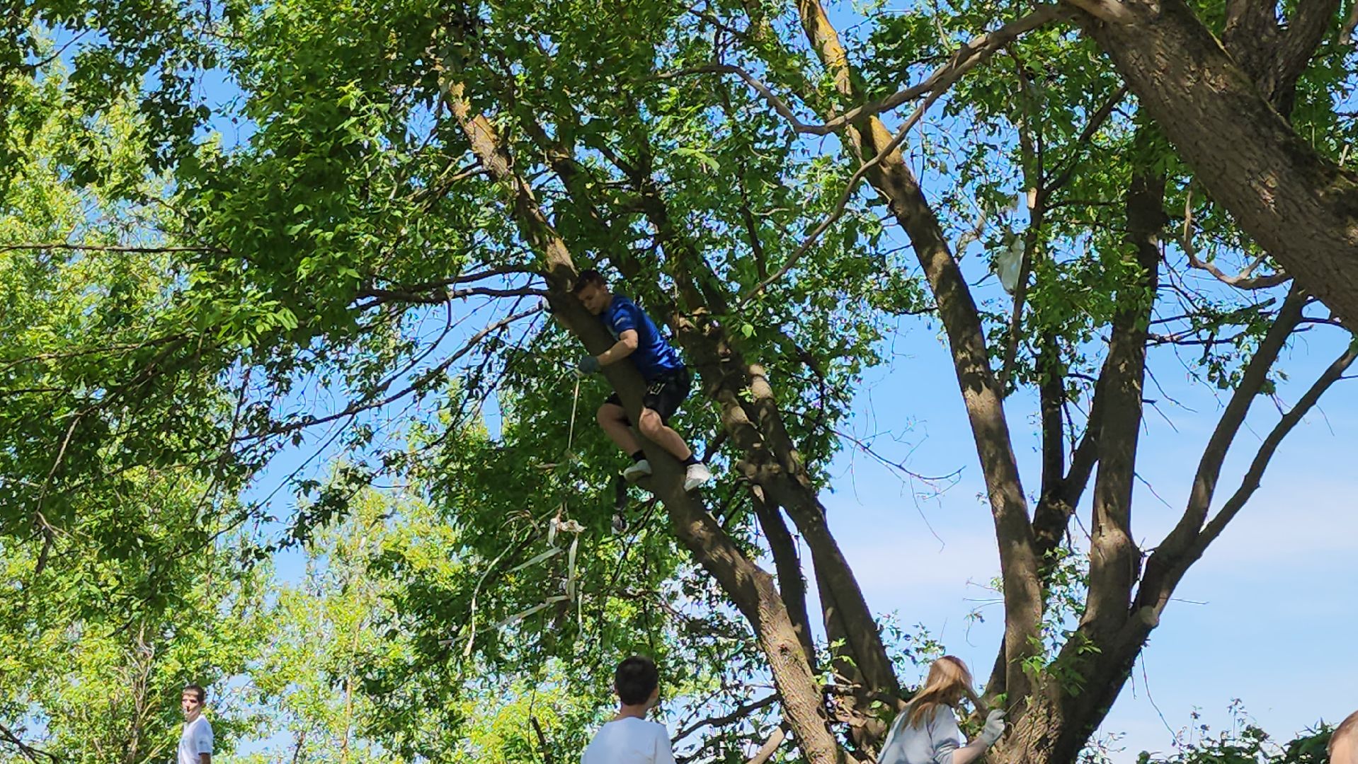 серпухов, подмосковье, экоакция, кино, знаменитости, экологическая акция,