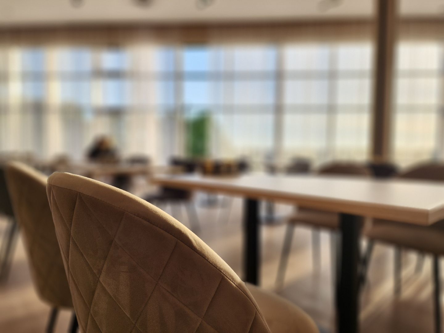 воскресенск, туризм, дубки, отель,