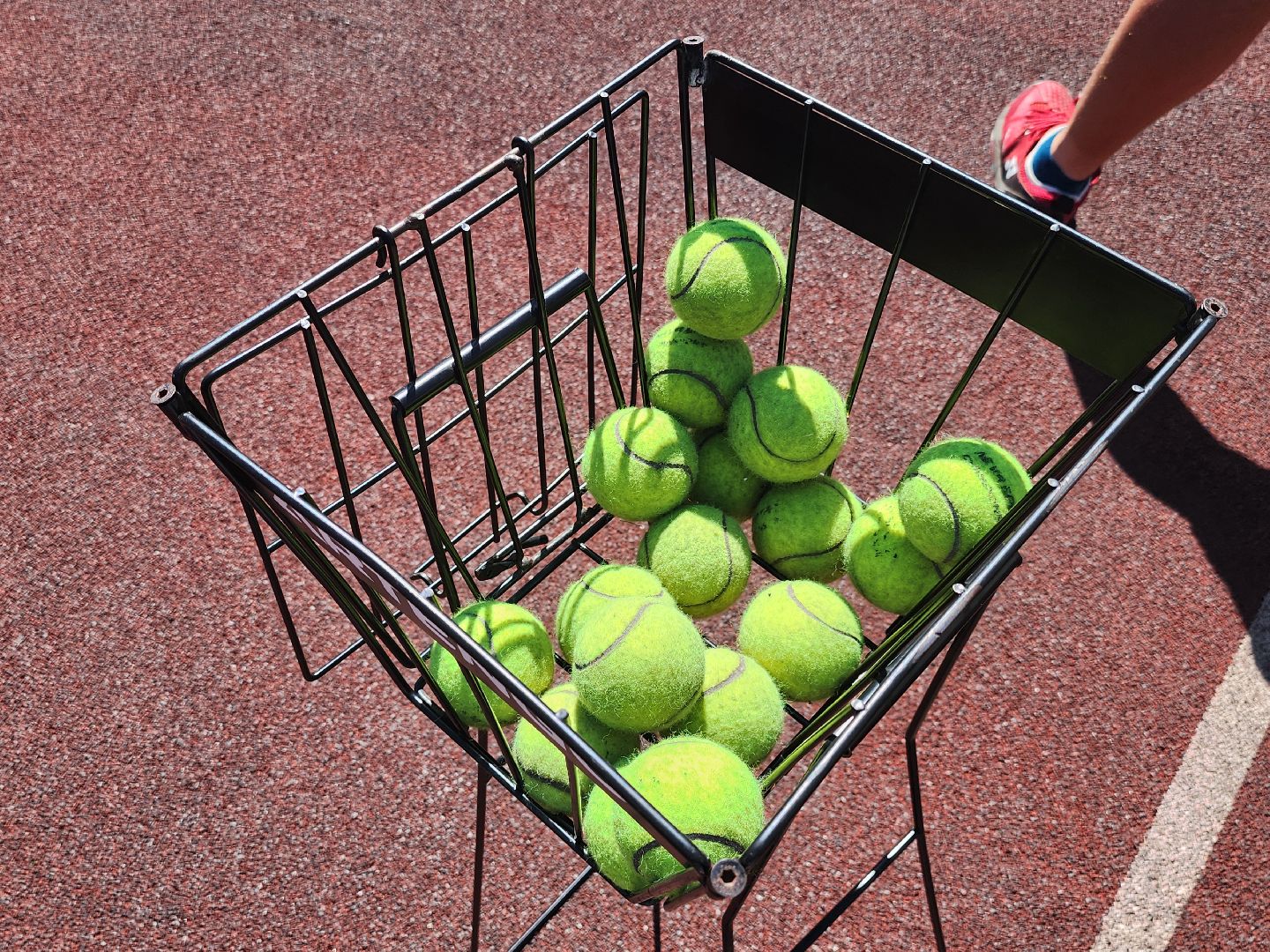 предпринимательство, спорт в подмосковье, день предпринимателя,