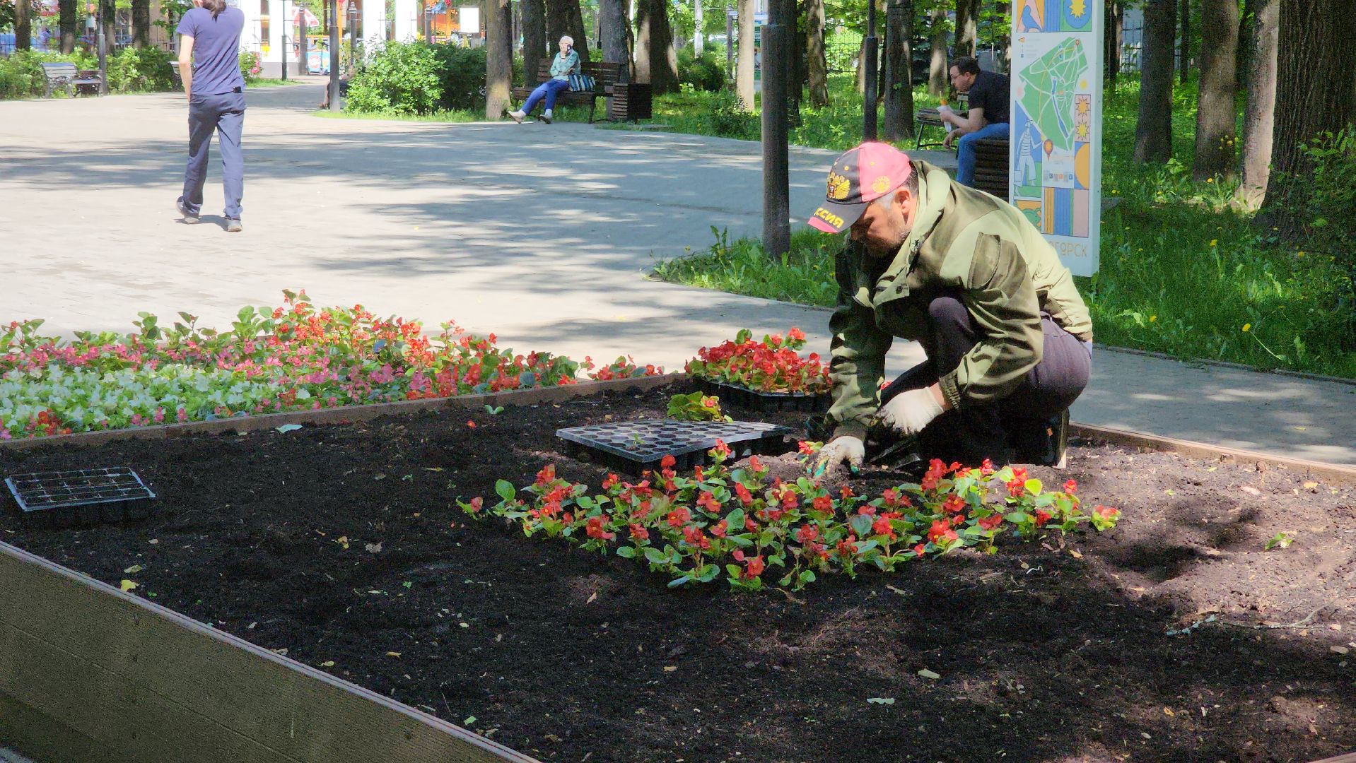 красногорск, городской парк, цветы,