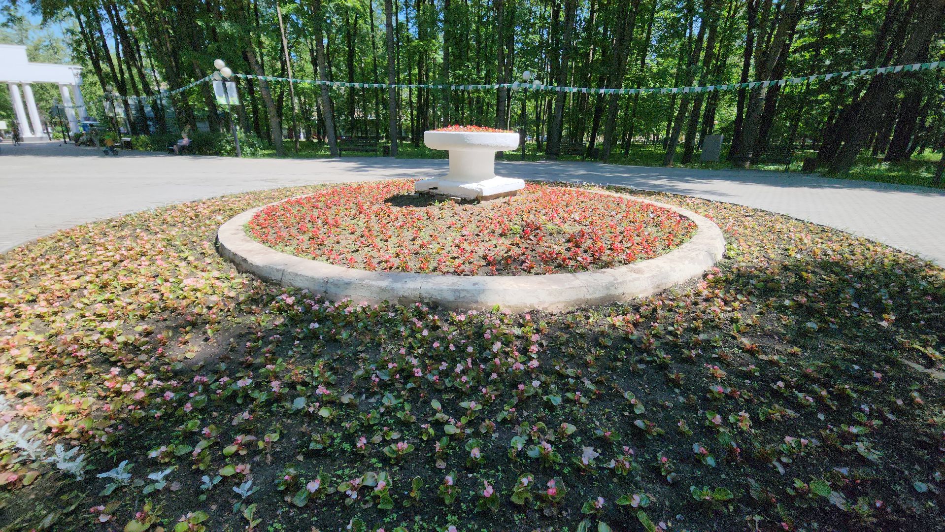 красногорск, городской парк, цветы,