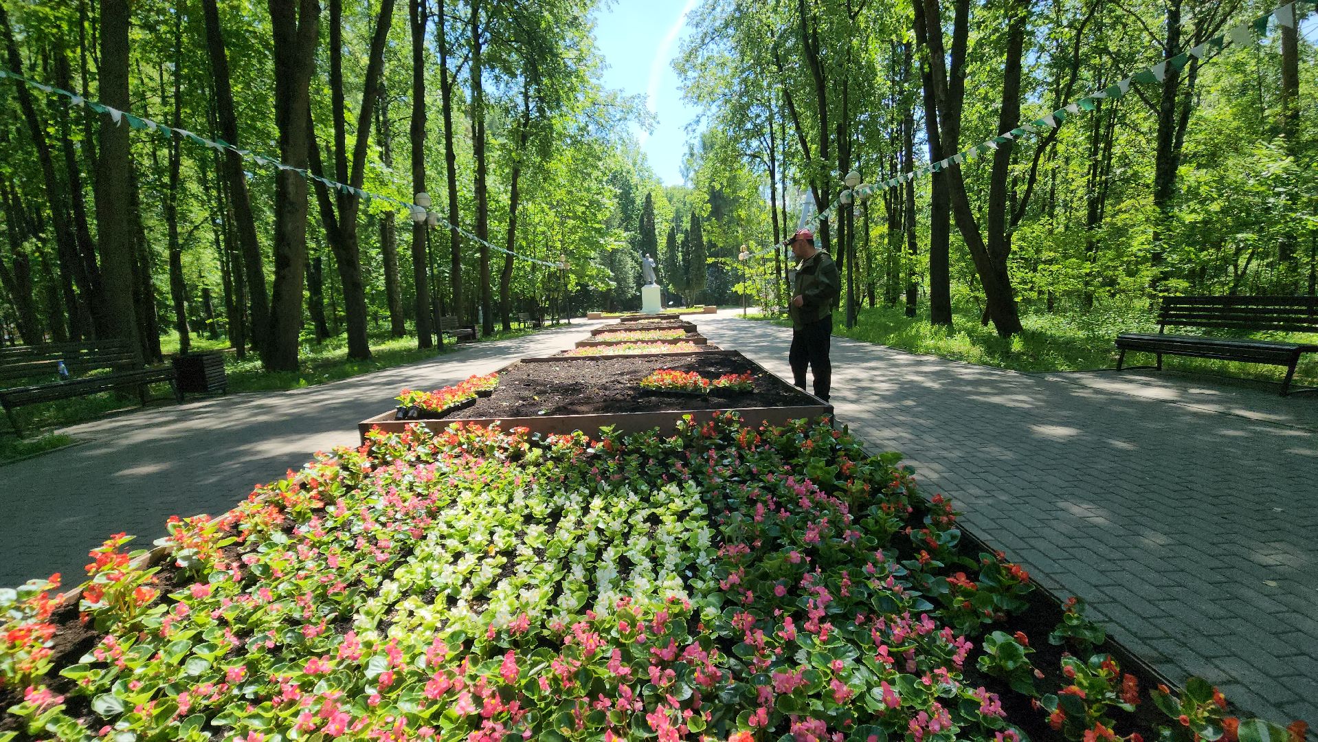 красногорск, городской парк, цветы,
