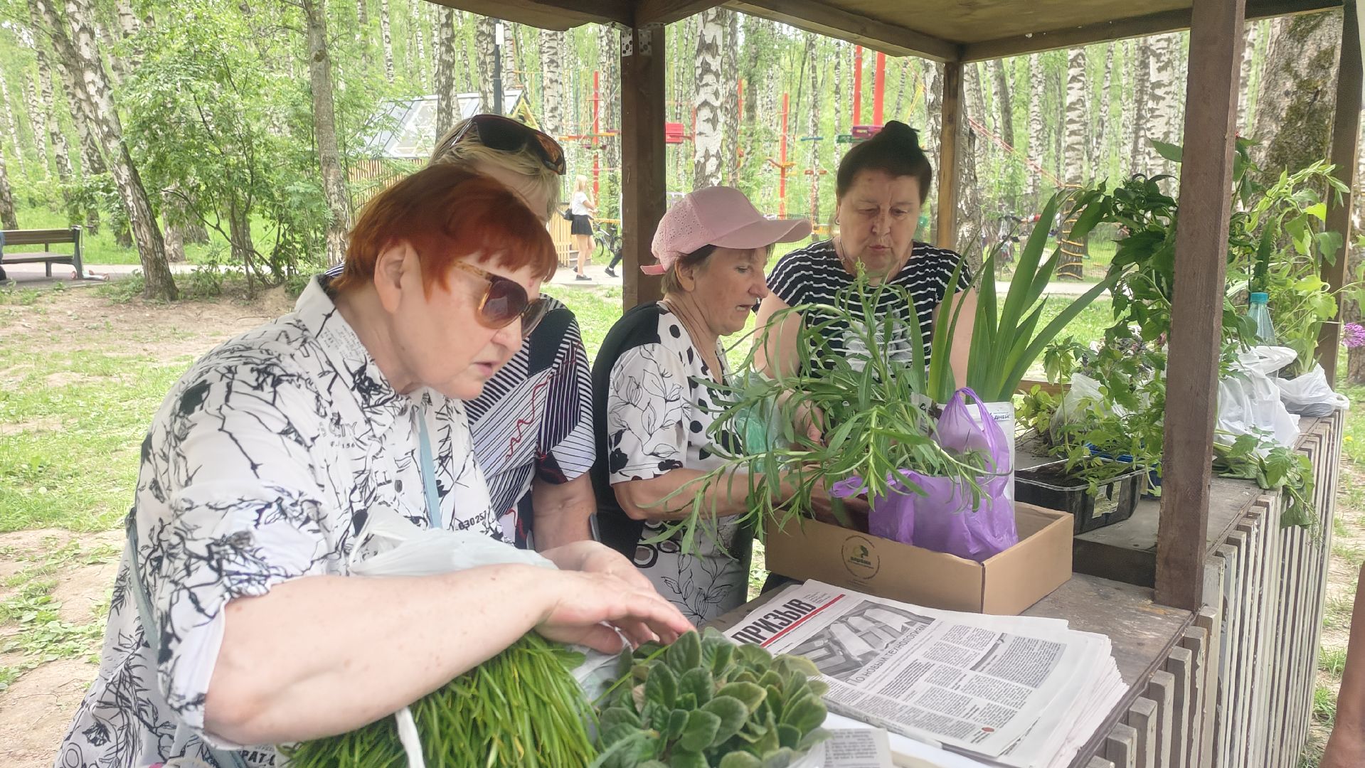 Зеленая Дармарка, Городской лес, обмен вещами, Домодедово,