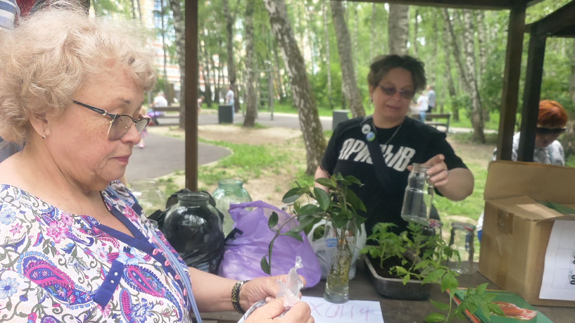 Зеленая Дармарка, Городской лес, обмен вещами, Домодедово,