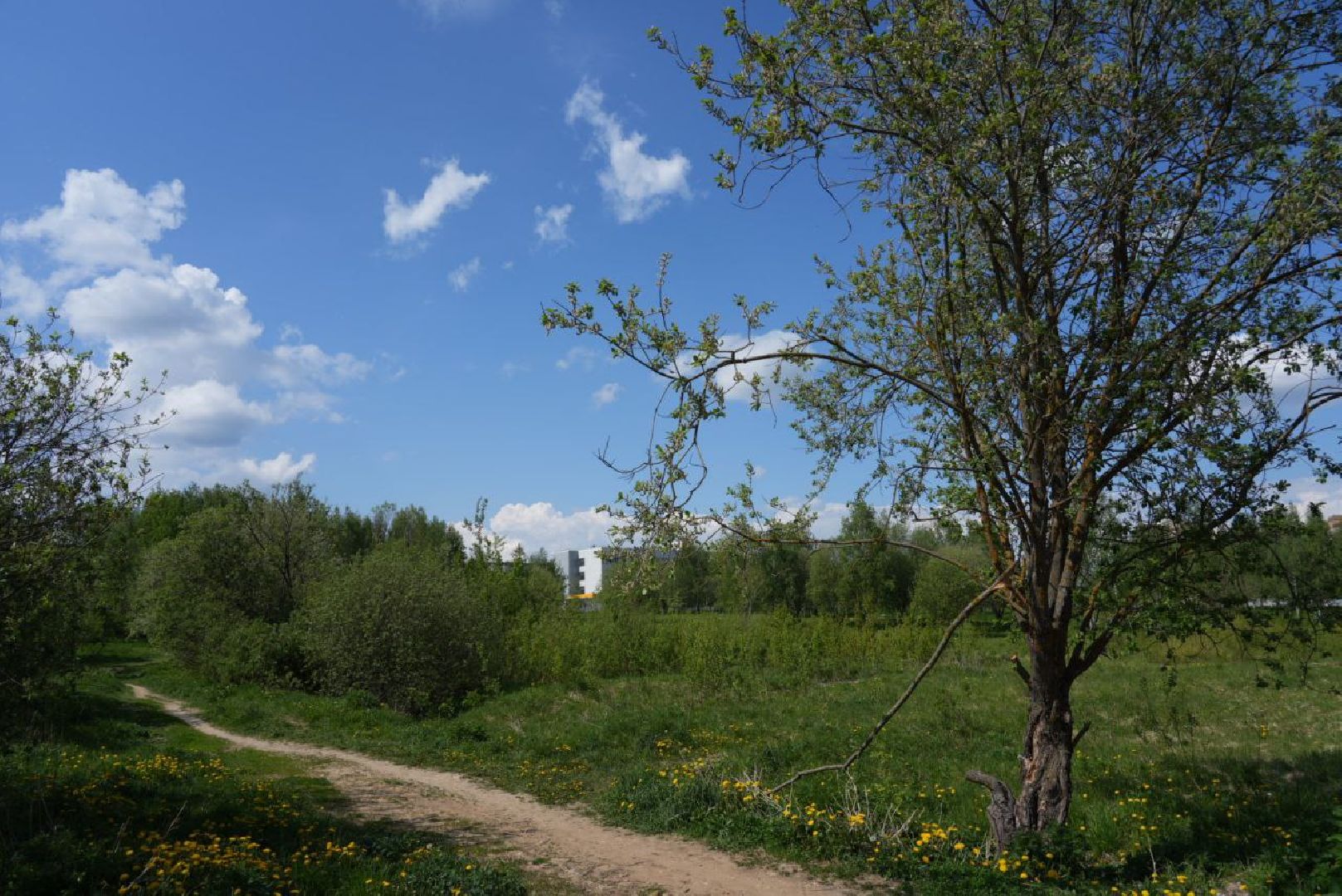 Благоустройство, Сергиев Посад, Сквер, Пешеходный маршрут, Сергиево-Посадский городской округ,