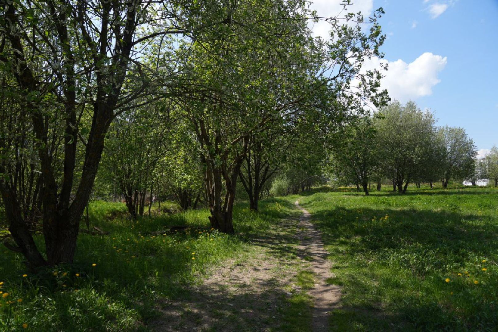Благоустройство, Сергиев Посад, Сквер, Пешеходный маршрут, Сергиево-Посадский городской округ,