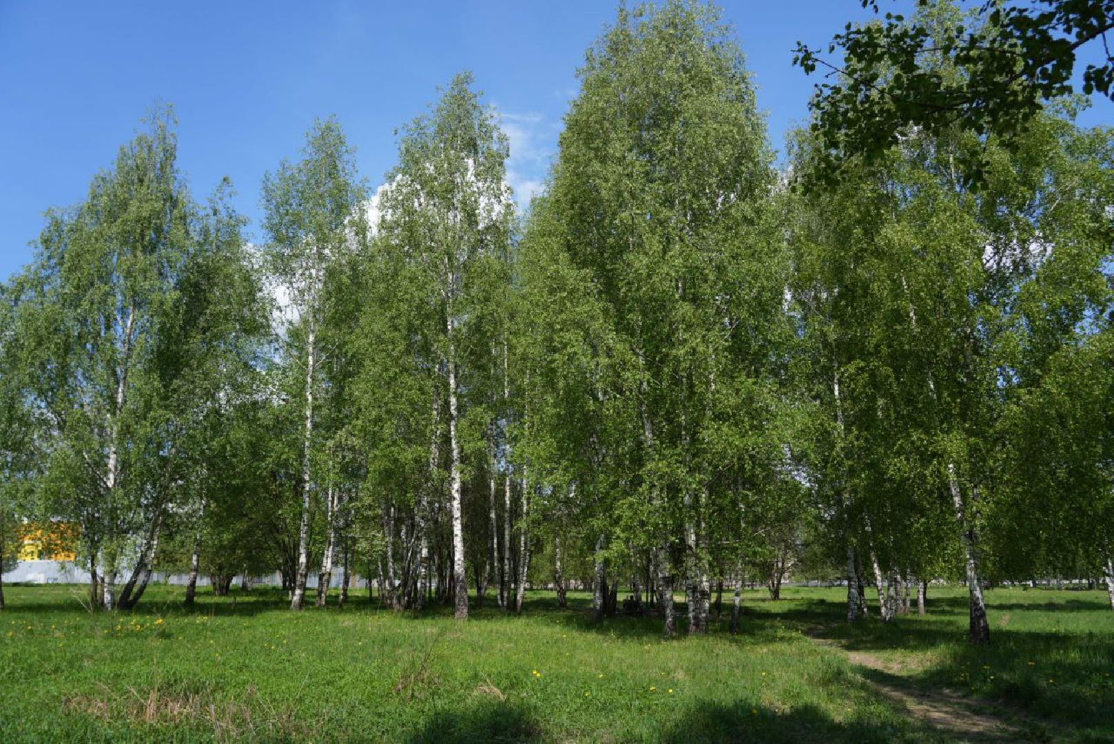 Благоустройство, Сергиев Посад, Сквер, Пешеходный маршрут, Сергиево-Посадский городской округ,