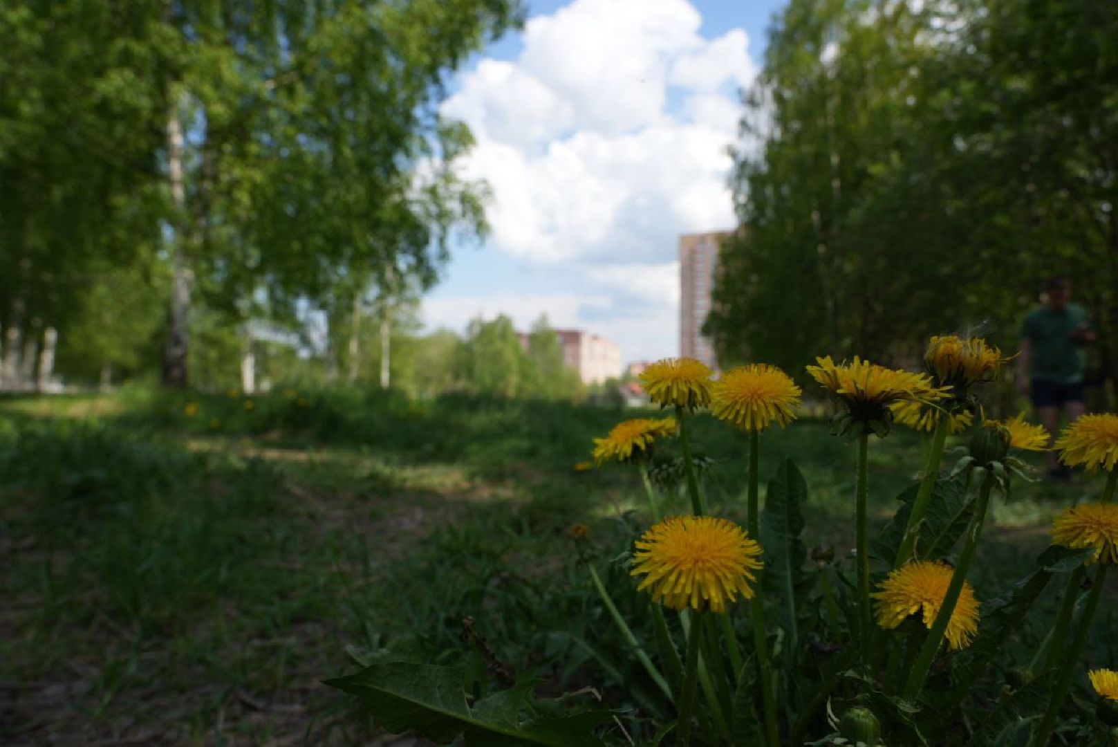 Благоустройство, Сергиев Посад, Сквер, Пешеходный маршрут, Сергиево-Посадский городской округ,