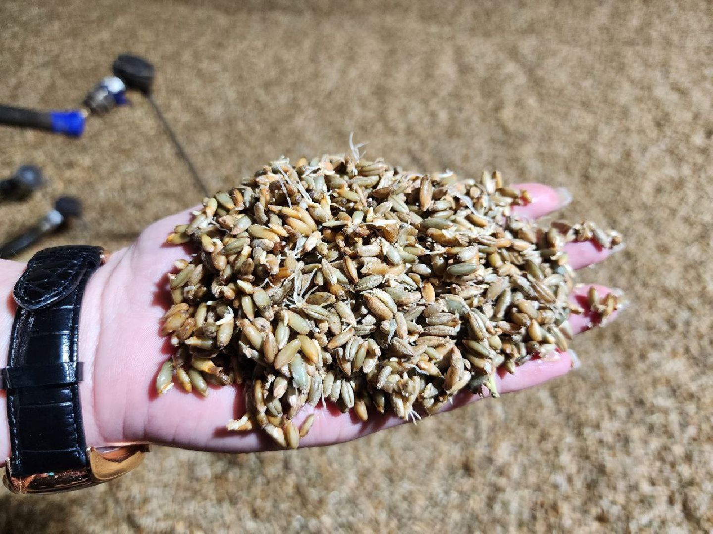 можайск, можайский городской округ, подмосковье, солод, концентрат квасного сусла, производство, сельское хозяйство, колхоз, колхоз уваровский,