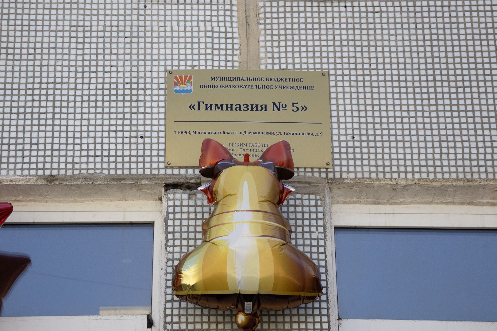 абилимпикс, дзержинский, батурина, Дарья,5 гимназия,