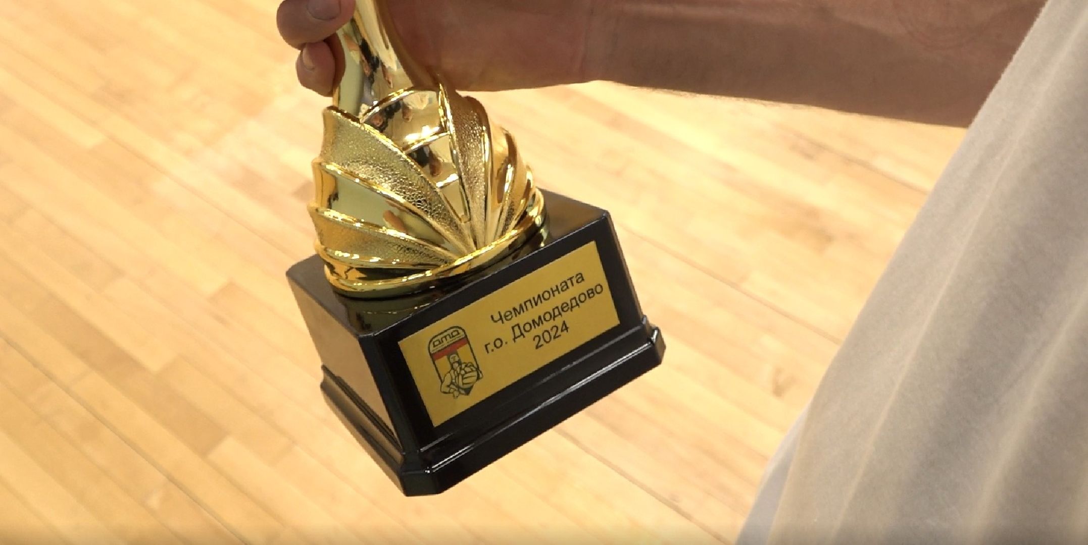 Федерация волейбола, стадион Авангард, Домодедово,