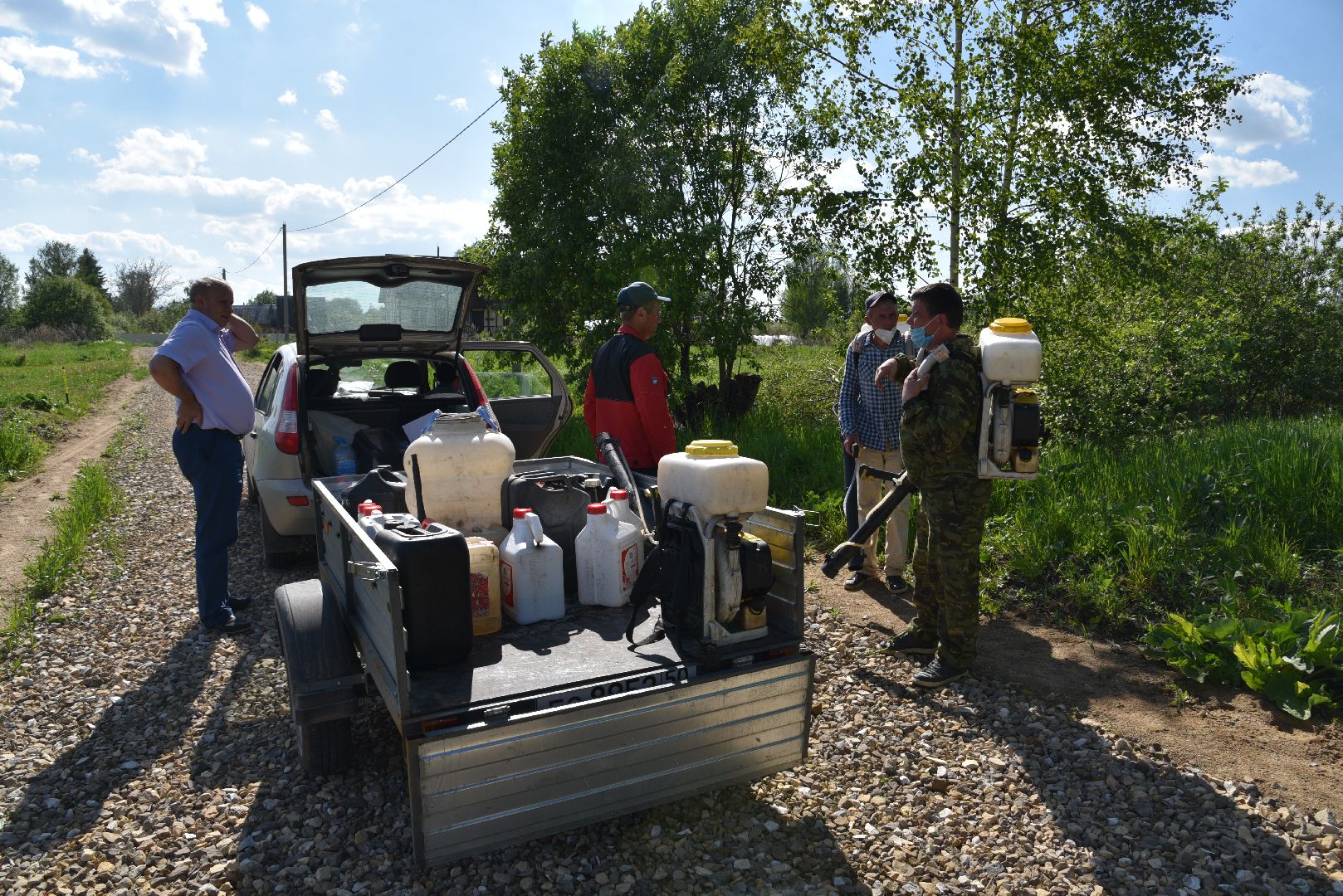 лотошино, борщевик, борщевик сосновского, борьба с борщевиком, экология,