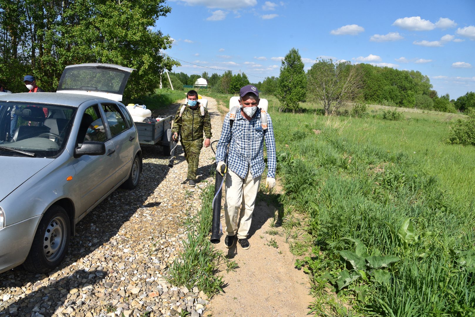 лотошино, борщевик, борщевик сосновского, борьба с борщевиком, экология,