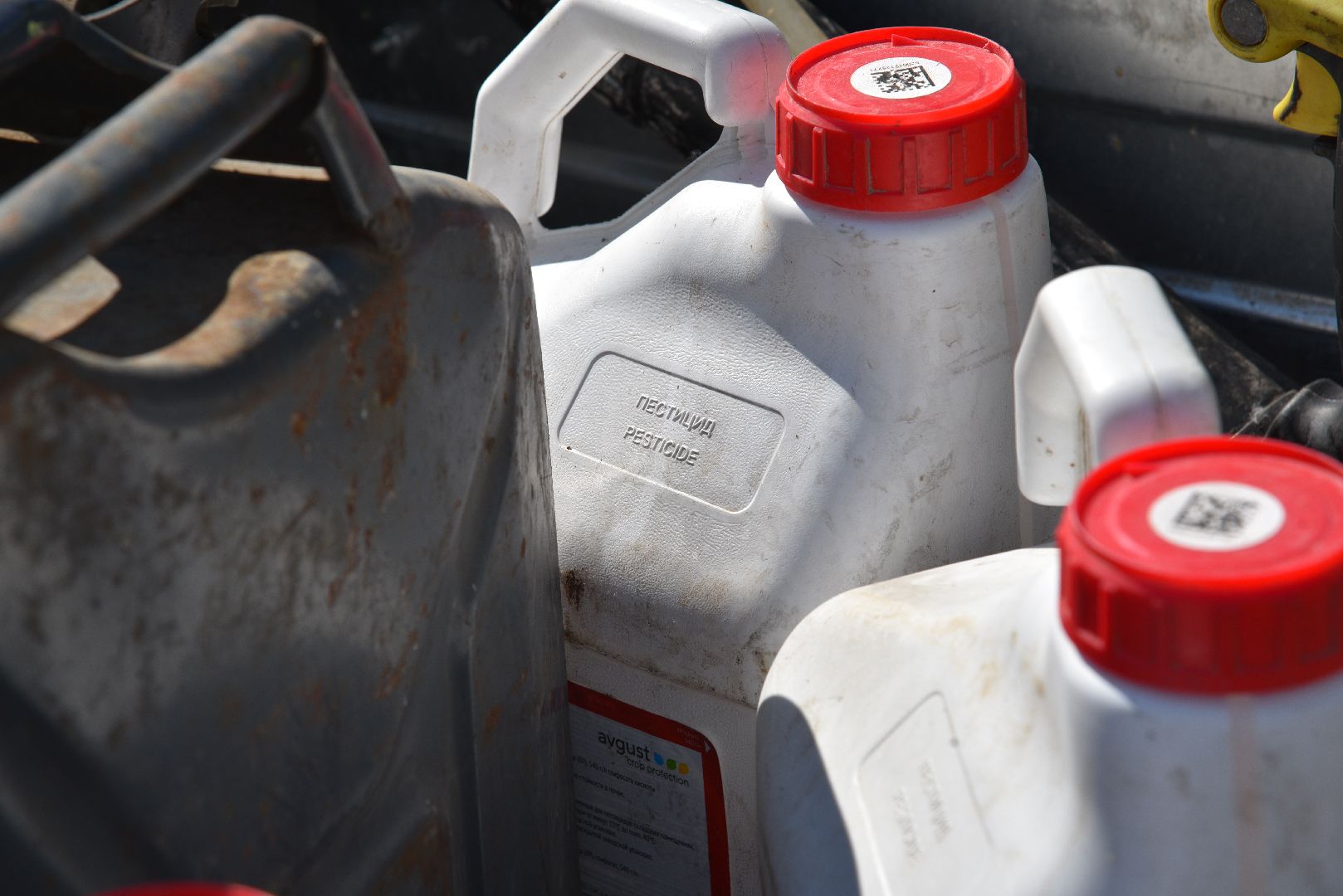 лотошино, борщевик, борщевик сосновского, борьба с борщевиком, экология,