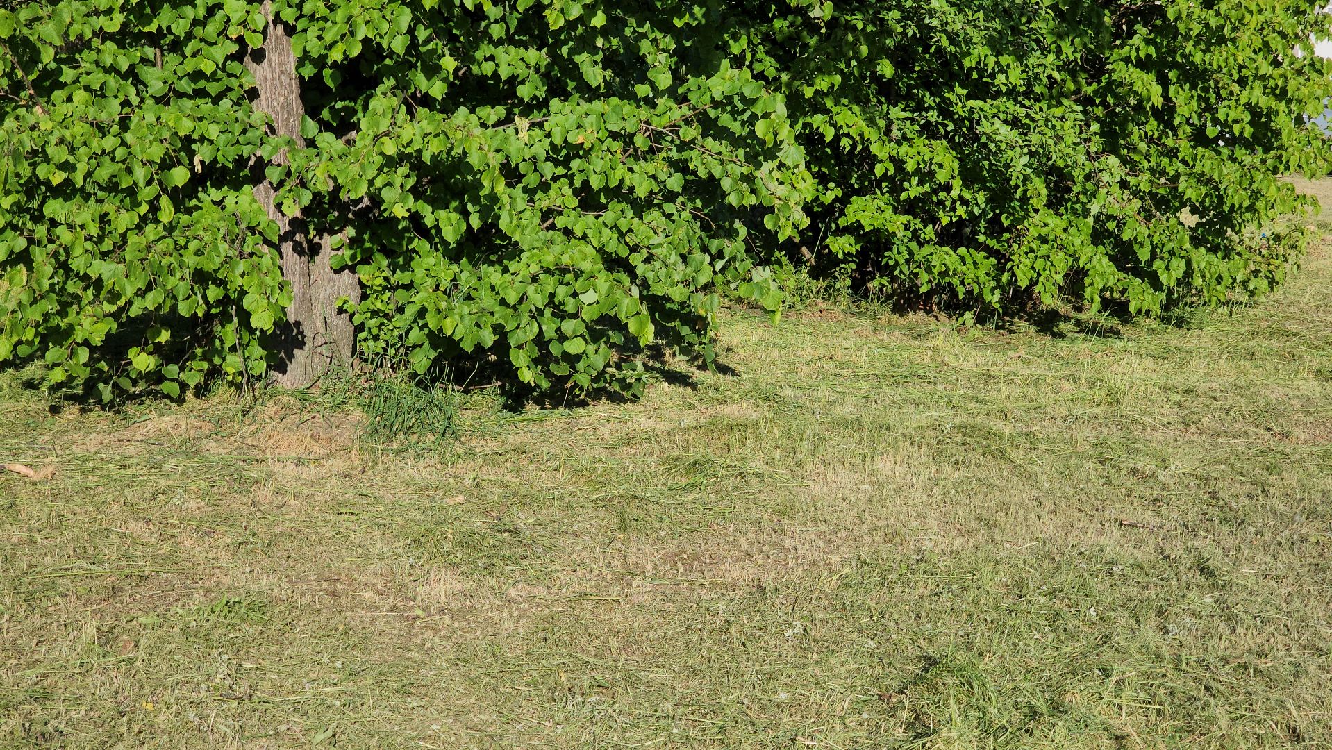 ступино, выездная администрация, благоустройство 2024,