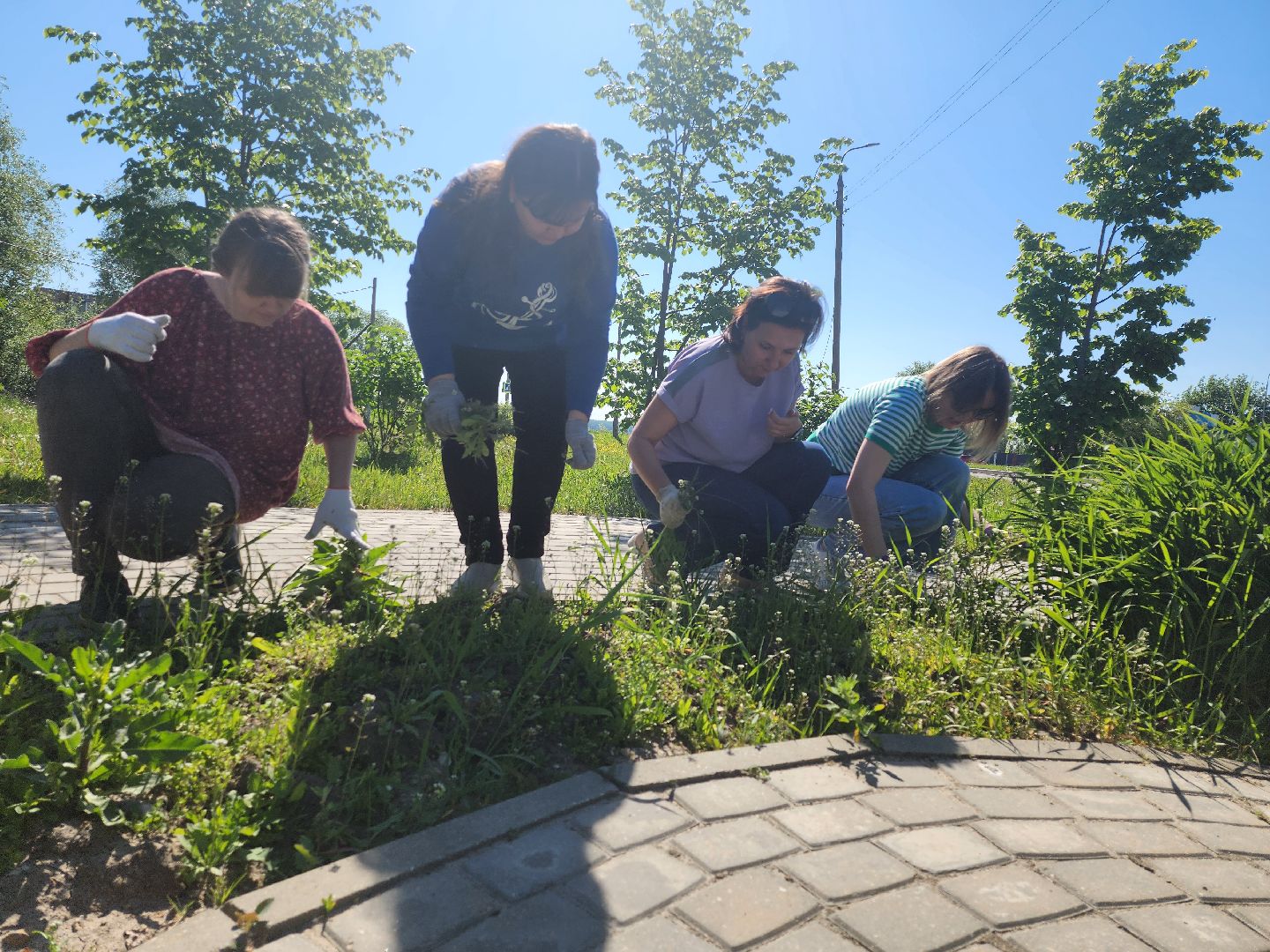 серпухов, подмосковье, журналисты Серпухова, акции,