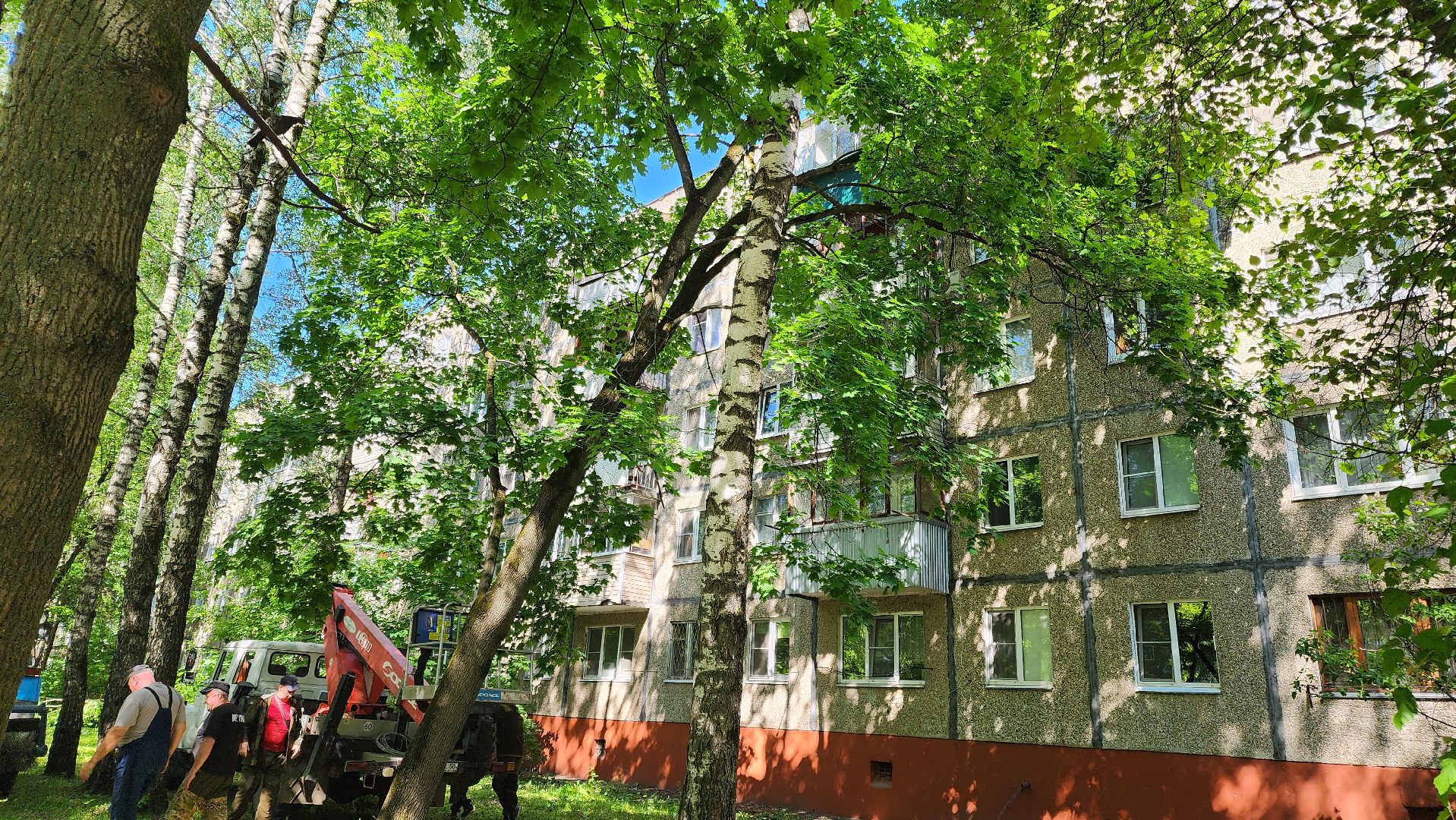 Подольск, опиловка деревьев, комбинат благоустройства, добродел,