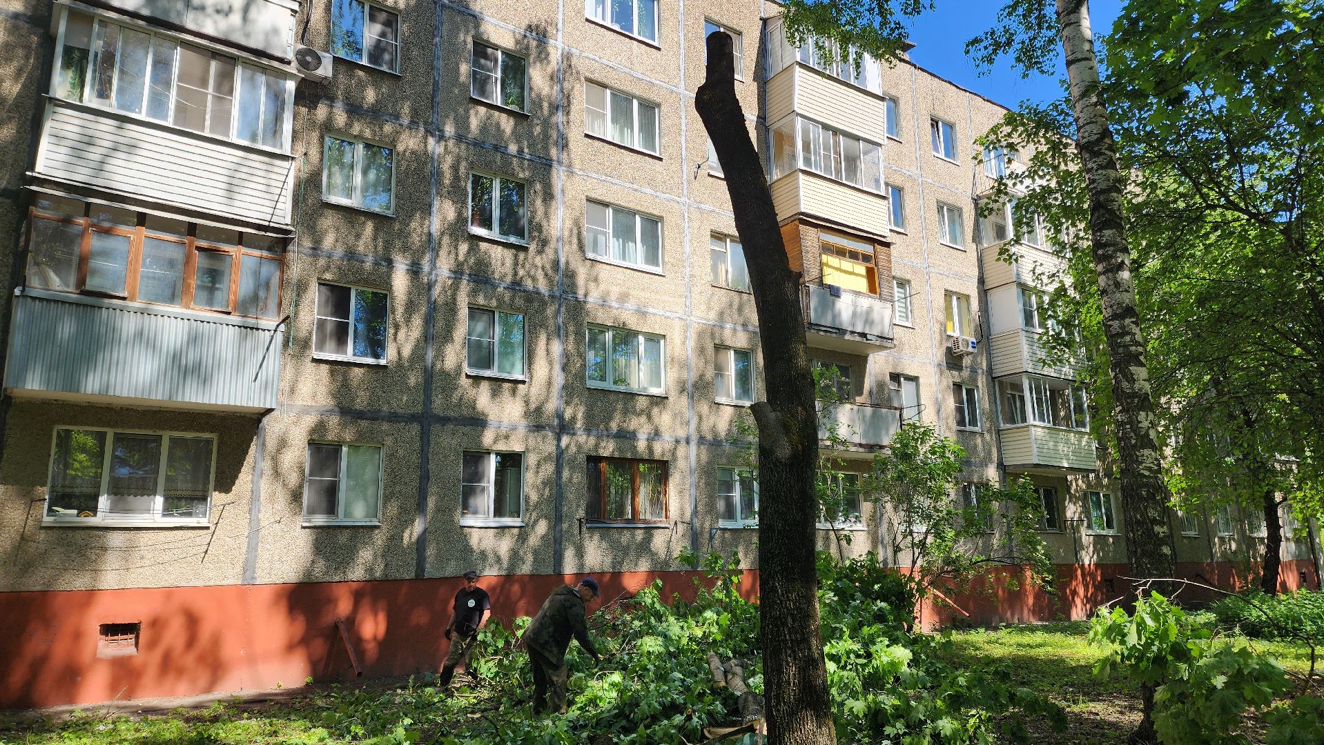 Подольск, опиловка деревьев, комбинат благоустройства, добродел,