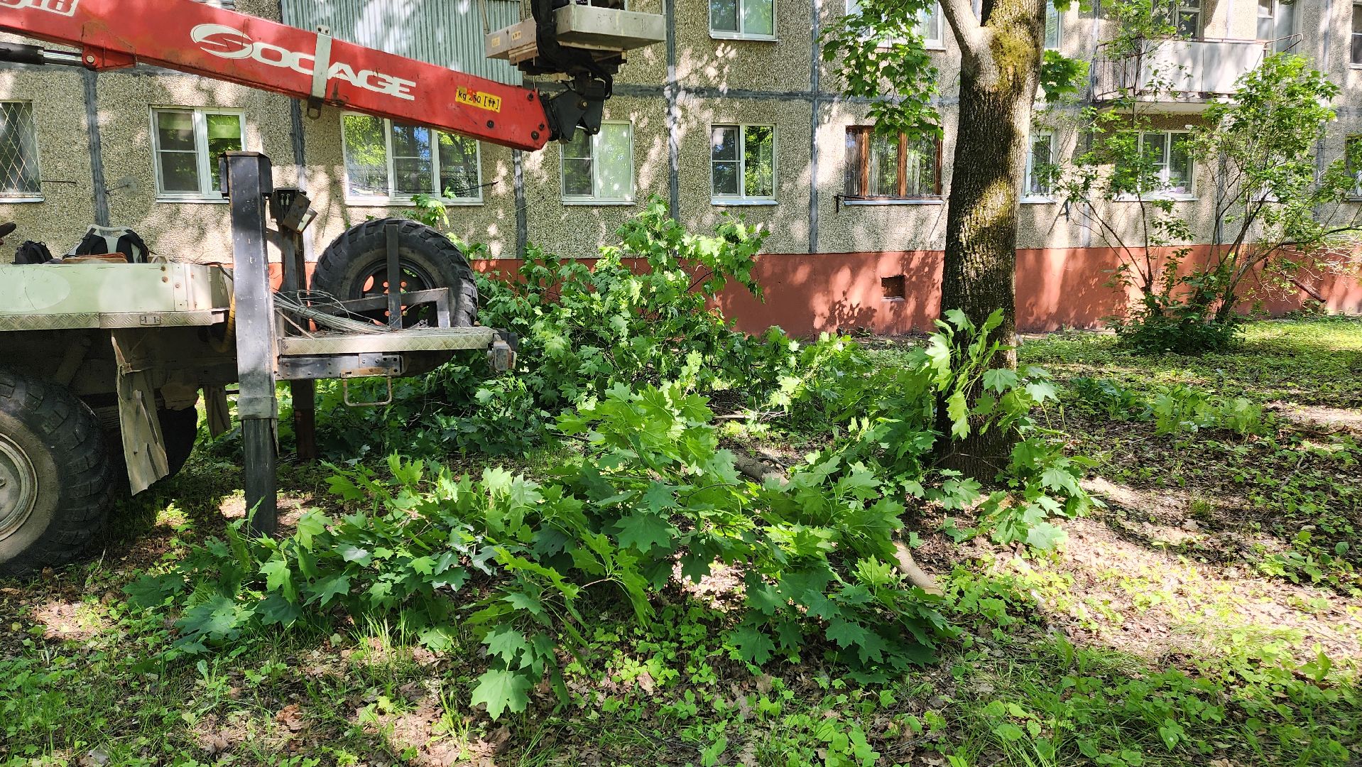 Подольск, опиловка деревьев, комбинат благоустройства, добродел,