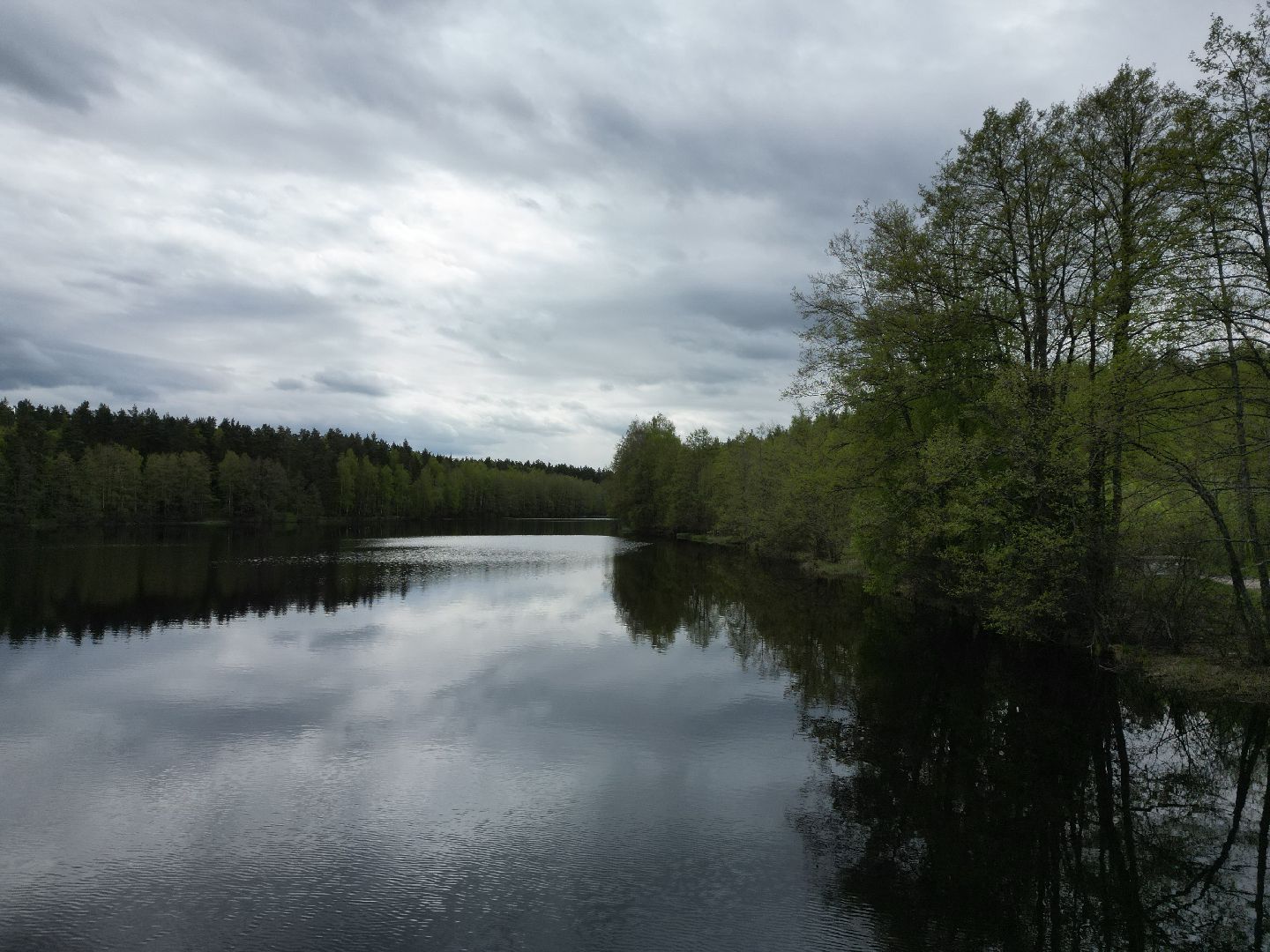 видео с коптера, любляна, егорьевск,