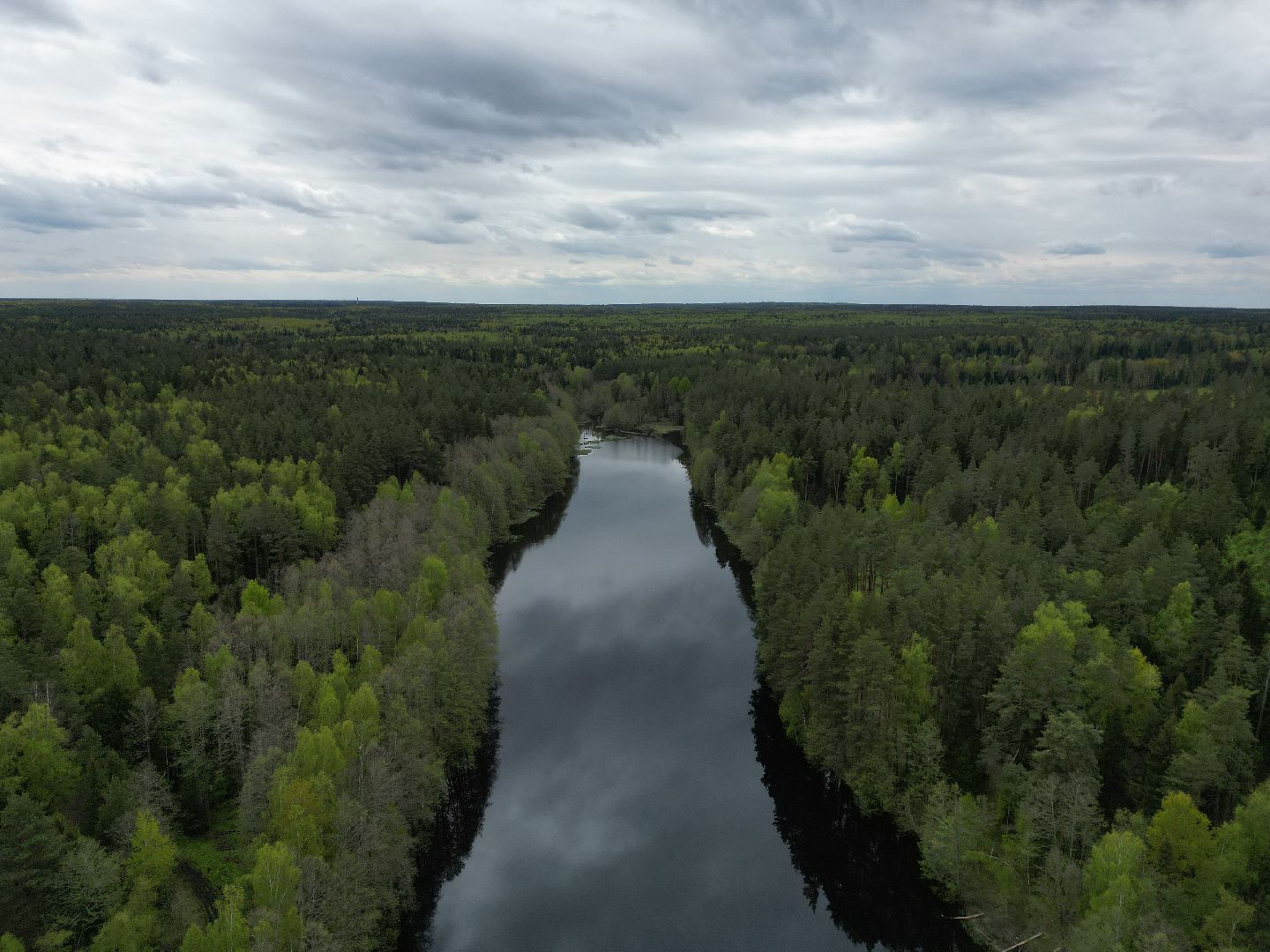 видео с коптера, любляна, егорьевск,
