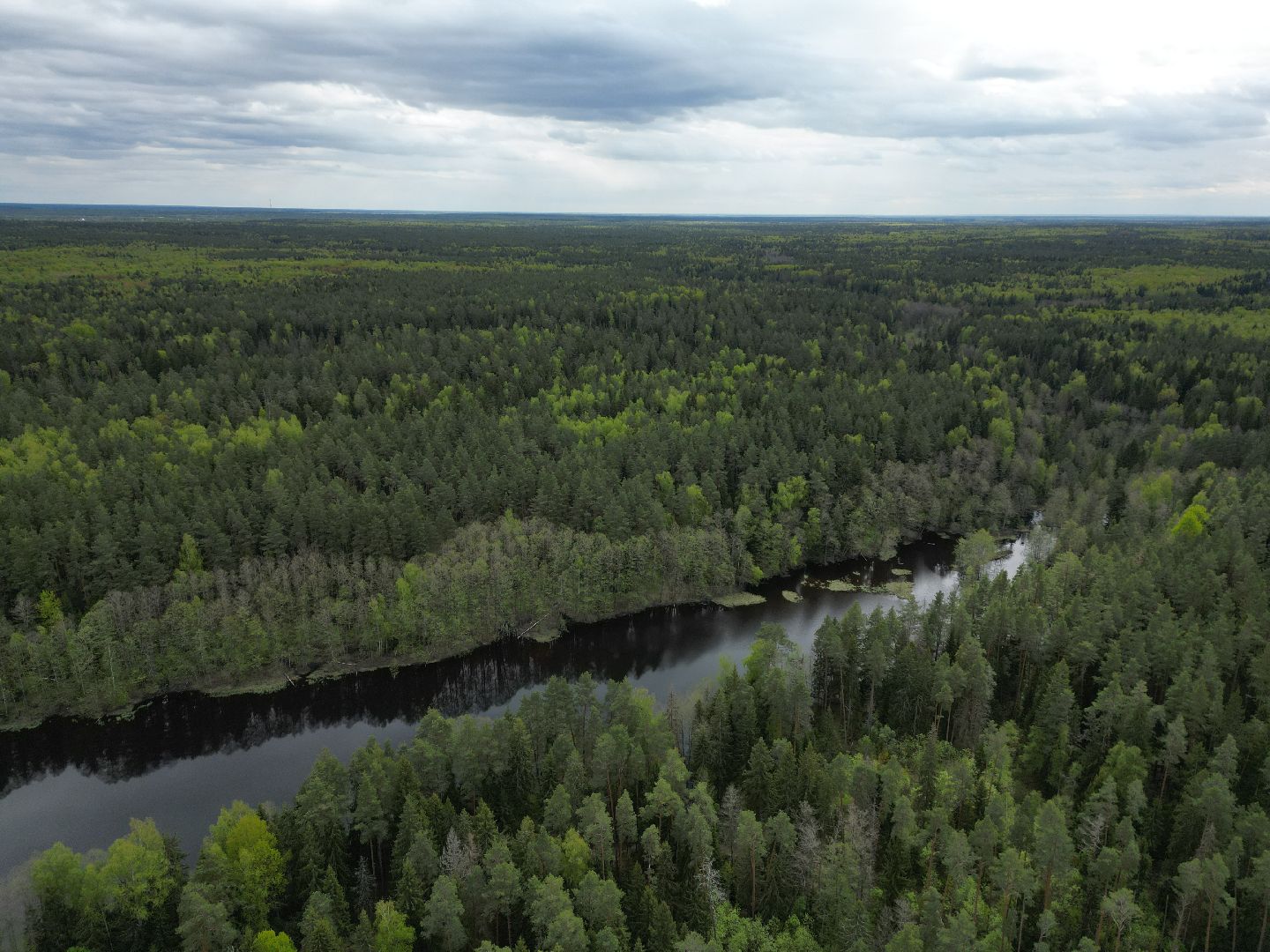 видео с коптера, любляна, егорьевск,