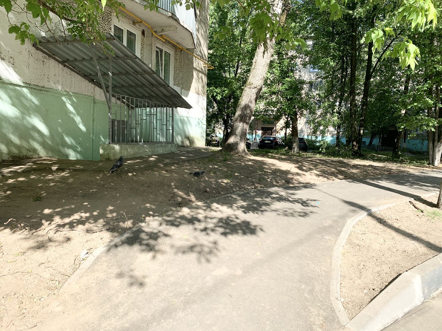 Балашиха, Подмосковье, Народные тропы, Программа Пешком,