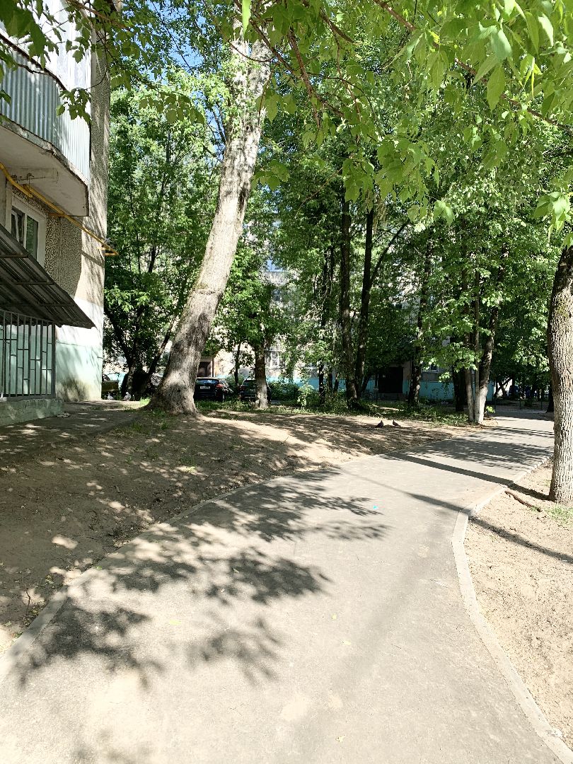 Балашиха, Подмосковье, Народные тропы, Программа Пешком,