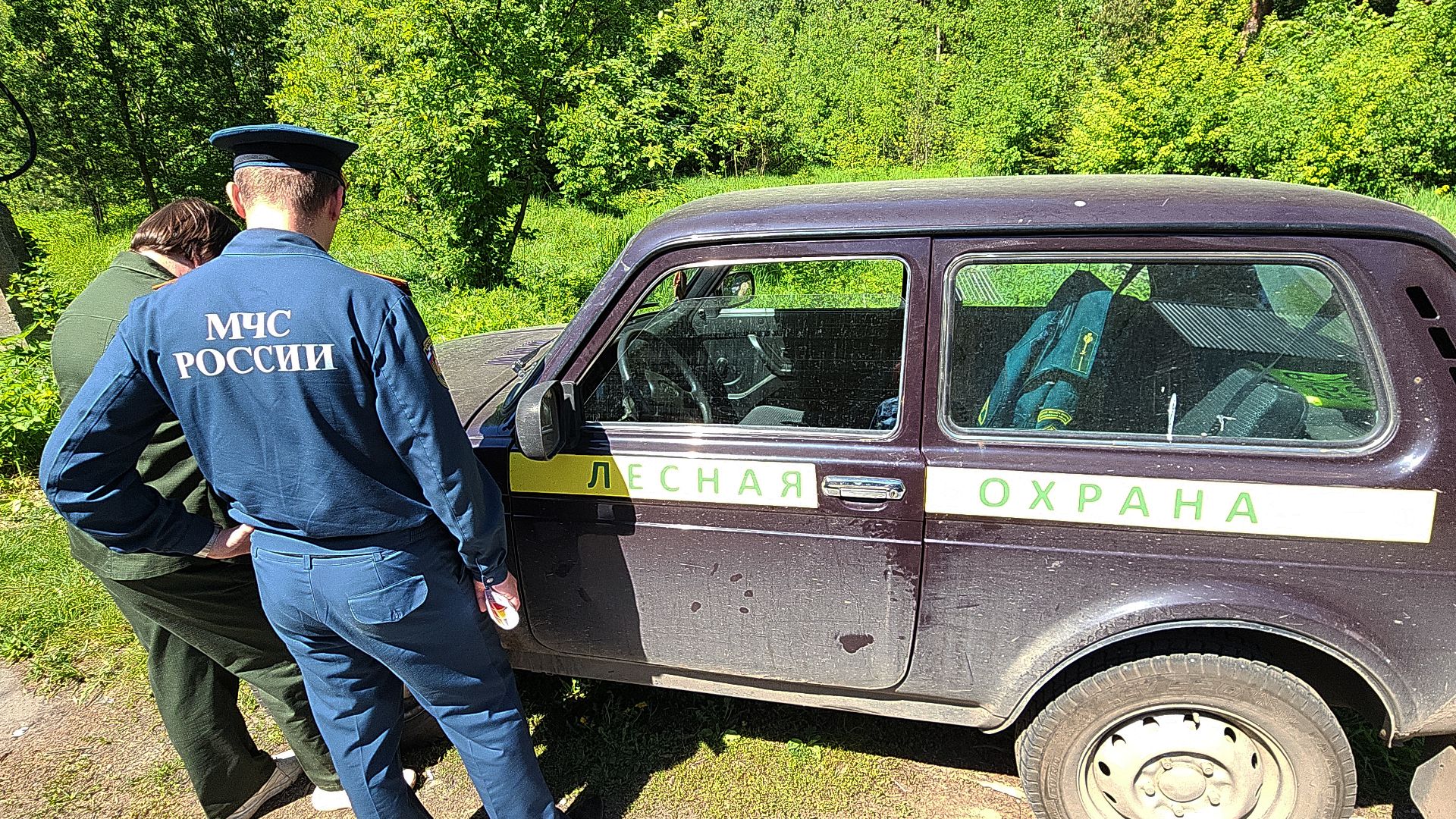 электросталь, безопасность, безопасность в лесу, пожароопасный сезон, мой город, жители города,