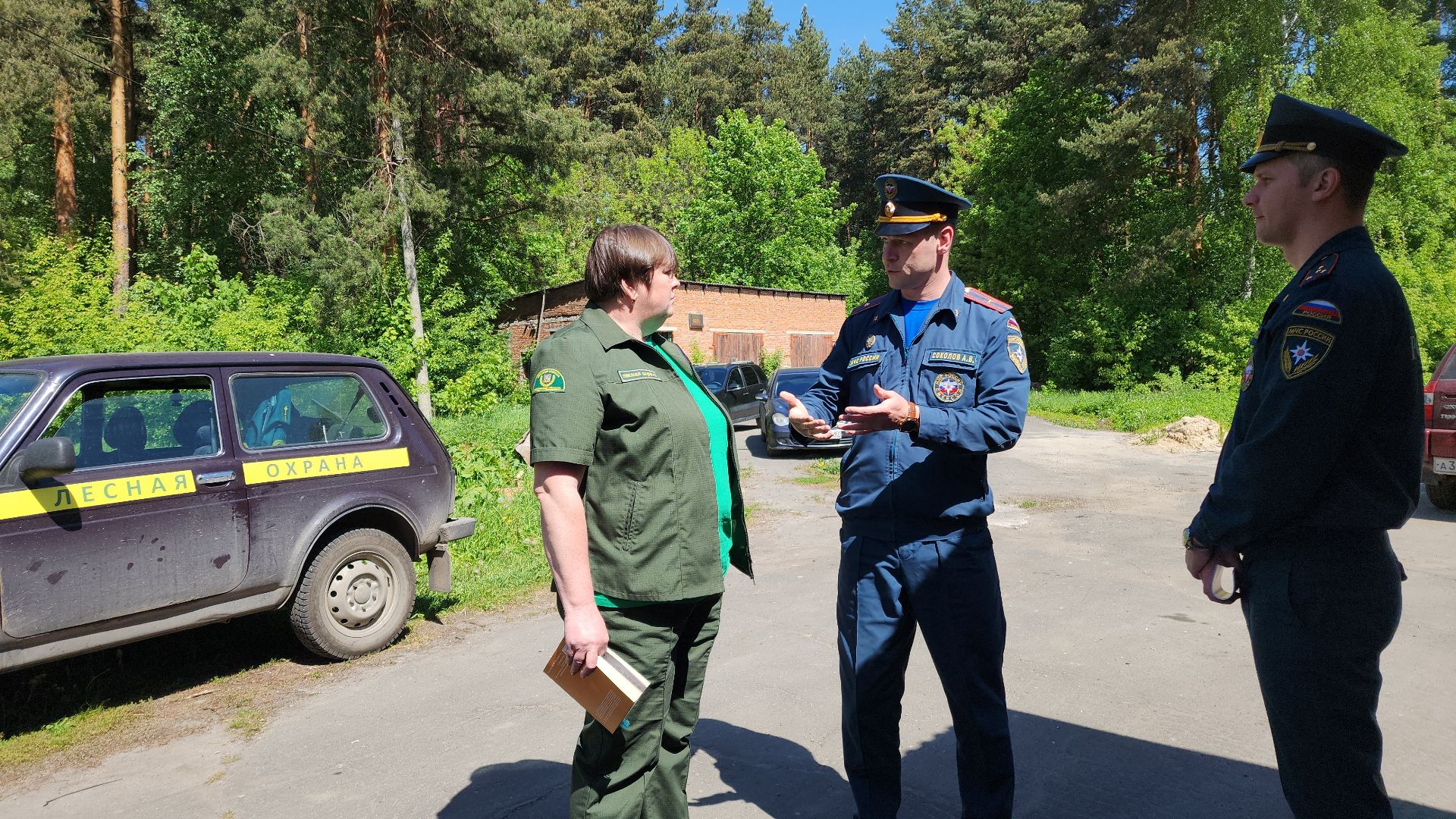 электросталь, безопасность, безопасность в лесу, пожароопасный сезон, мой город, жители города,