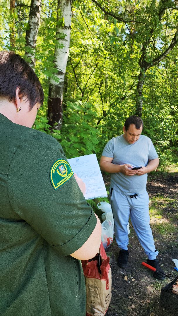 электросталь, безопасность, безопасность в лесу, пожароопасный сезон, мой город, жители города,