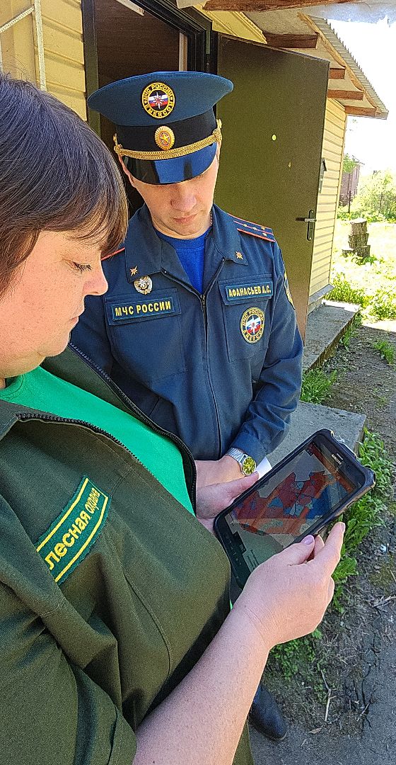 электросталь, безопасность, безопасность в лесу, пожароопасный сезон, мой город, жители города,