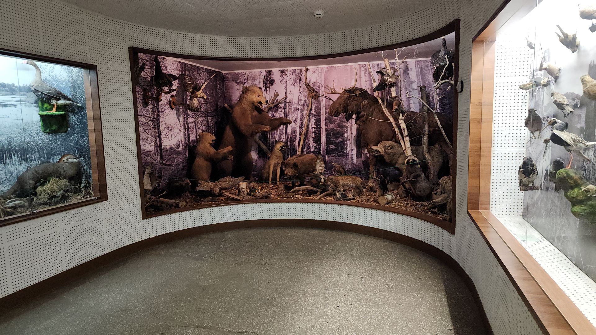 музей, история, Активное долголетие, Ногинск,