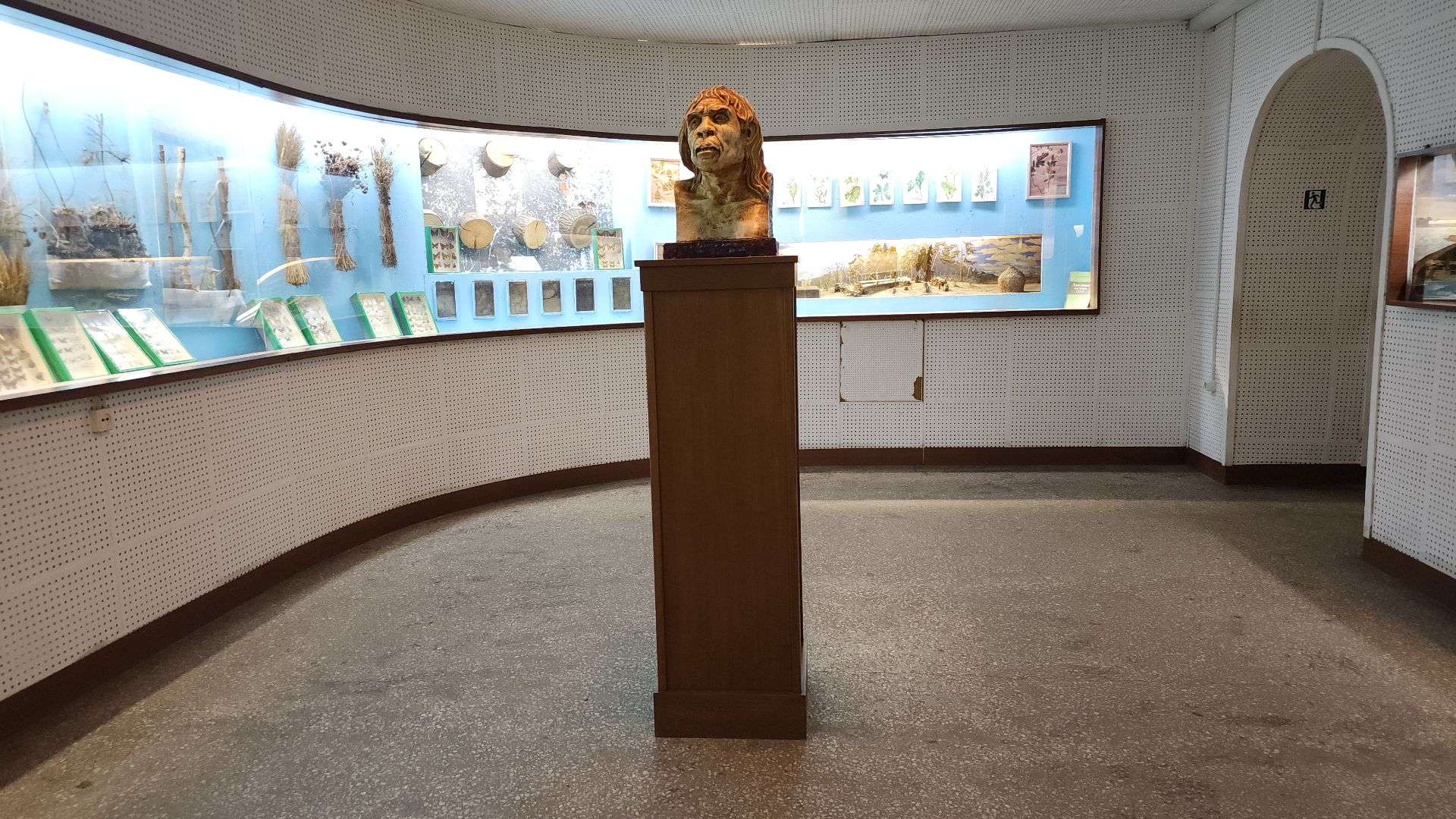 музей, история, Активное долголетие, Ногинск,