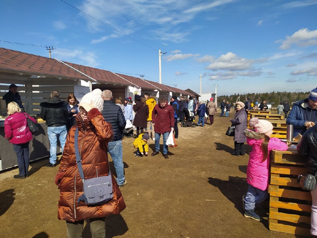 Истра, Подмосковье, Сыр, Фестиваль, Ярмарка, Олег Сирота, Фермерские продукты, фермеры, фермы