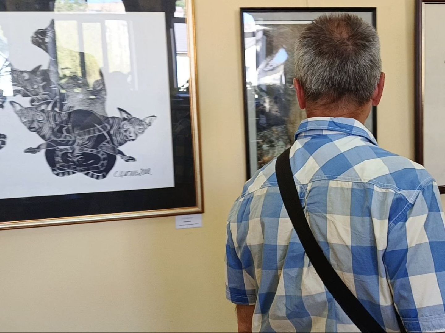 Солнечногорск, путевой дворец, выставка, Люди и звери, Фотографии,