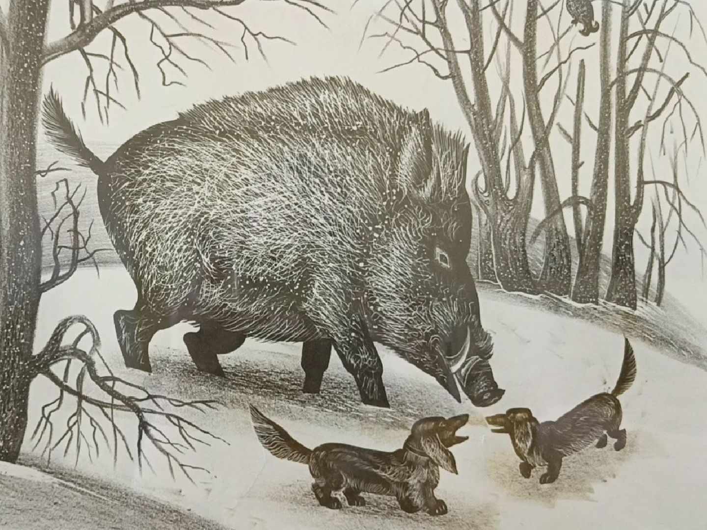 Солнечногорск, путевой дворец, выставка, Люди и звери, Фотографии,