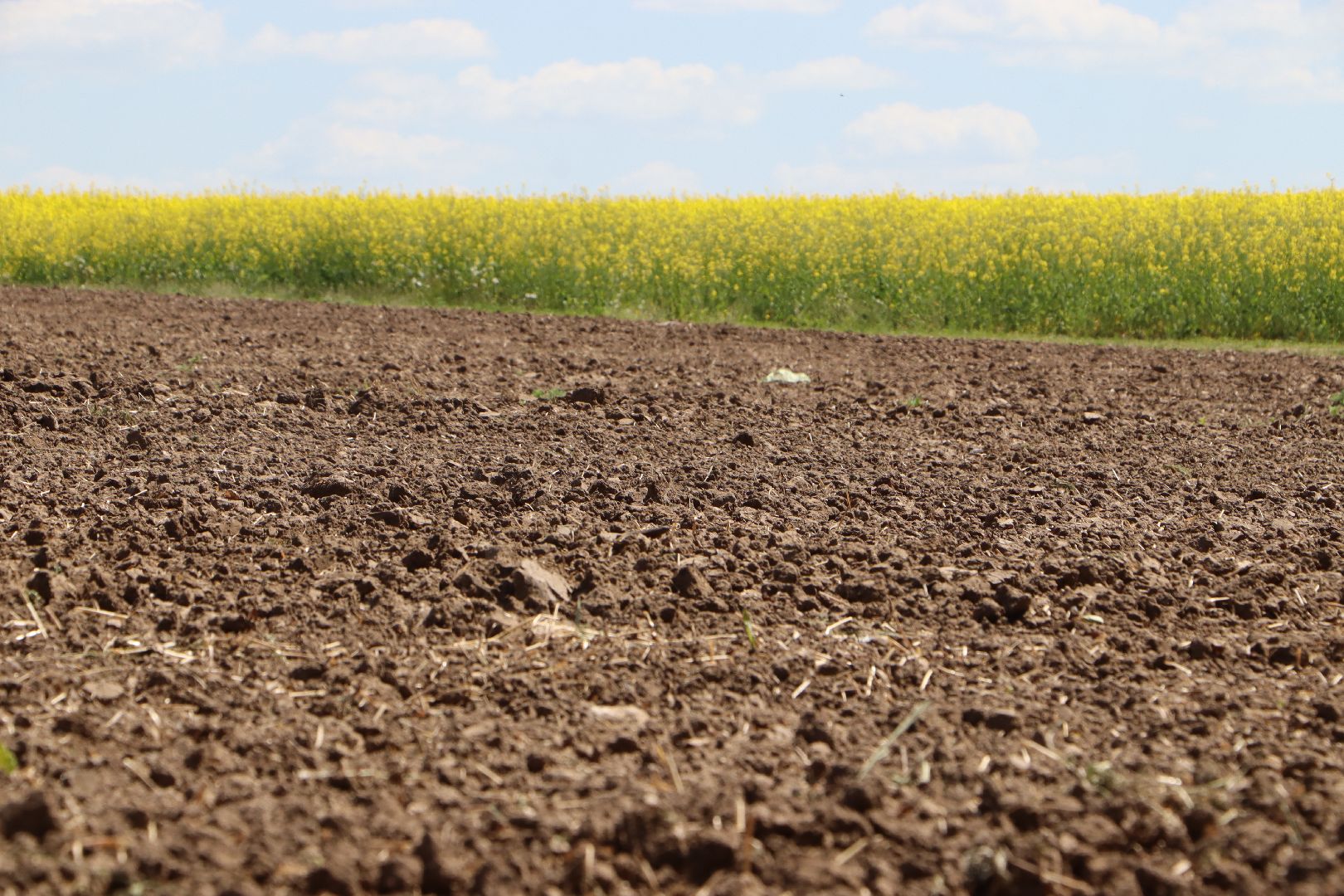 Серебряные Пруды, посевная 2024, яровой сев, аграрии Серебряных Прудов,