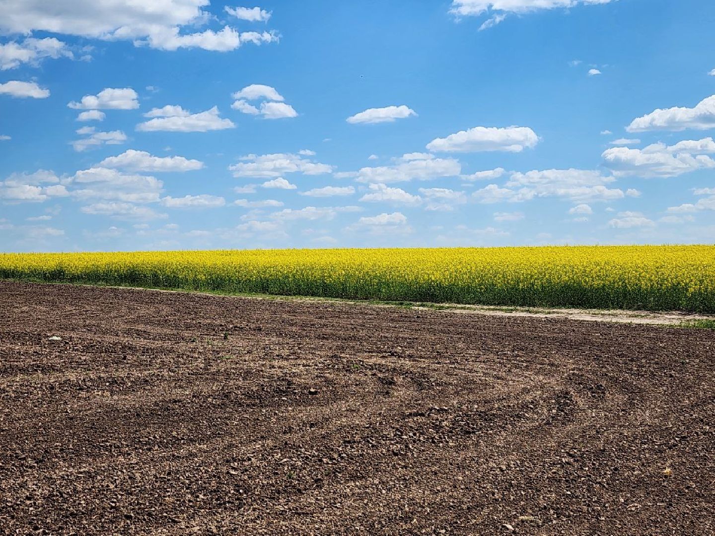 Серебряные Пруды, посевная 2024, яровой сев, аграрии Серебряных Прудов,